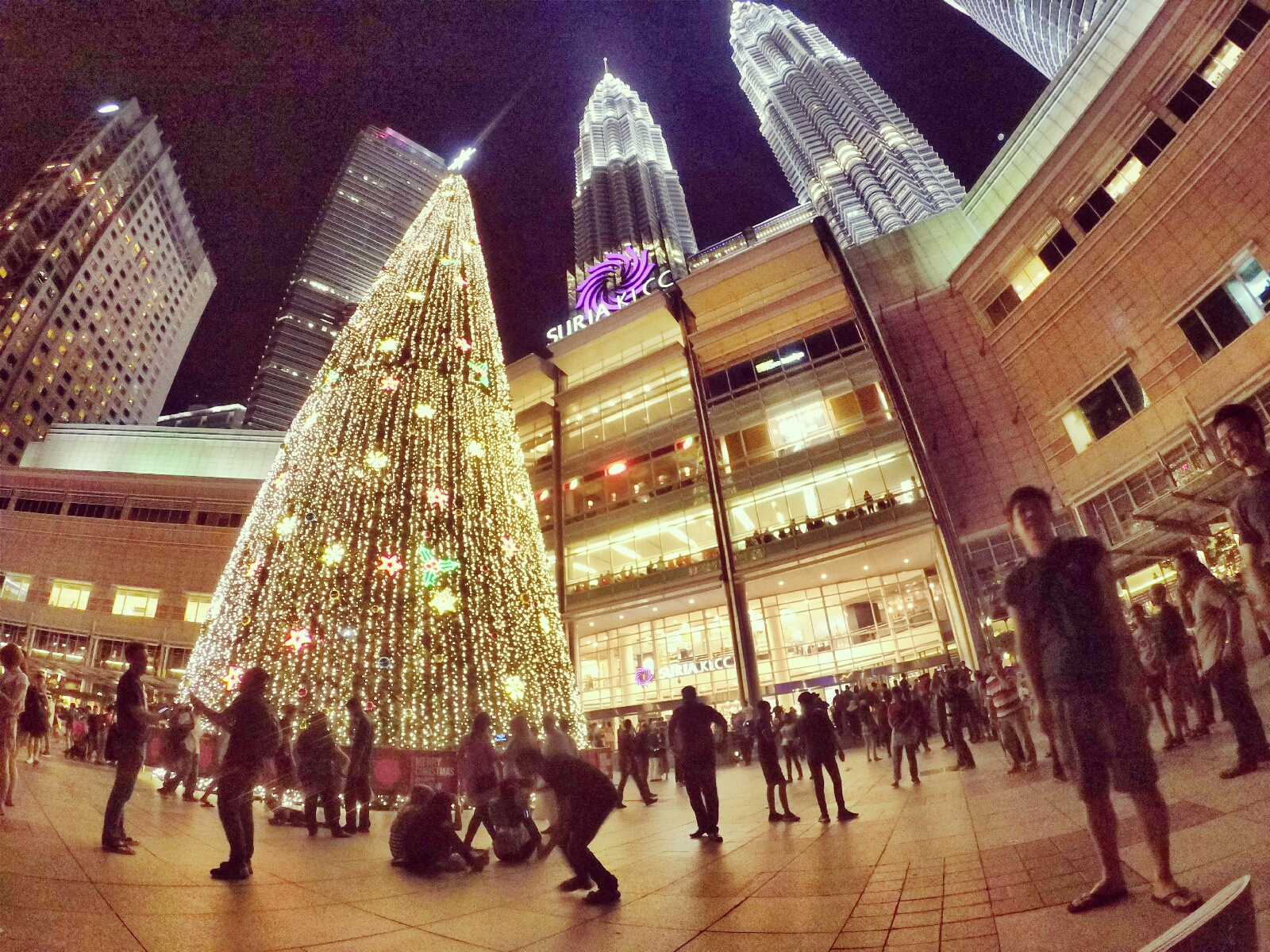 这棵圣诞树够高吧