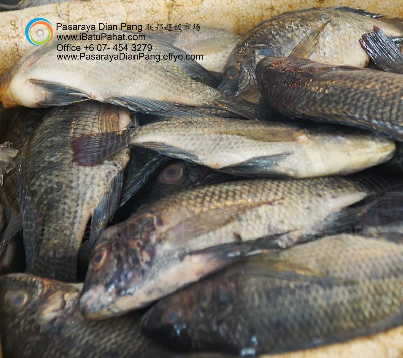 a02-parit-raja-batu-pahat-johor-malaysia-pasaraya-dian-pang-cash-carry-sdn-bhd-supermarket-grocery-shop-daily-products-foods-personal-care-home