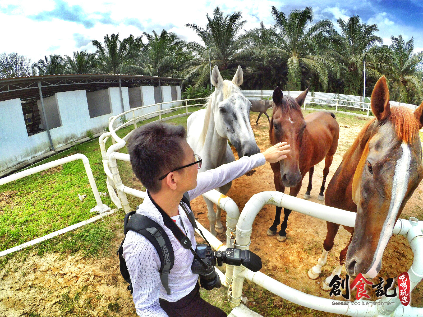 Sinar Eco Resort Pekan Nanas Johor Malaysia Travel Adventure Tourist Attraction