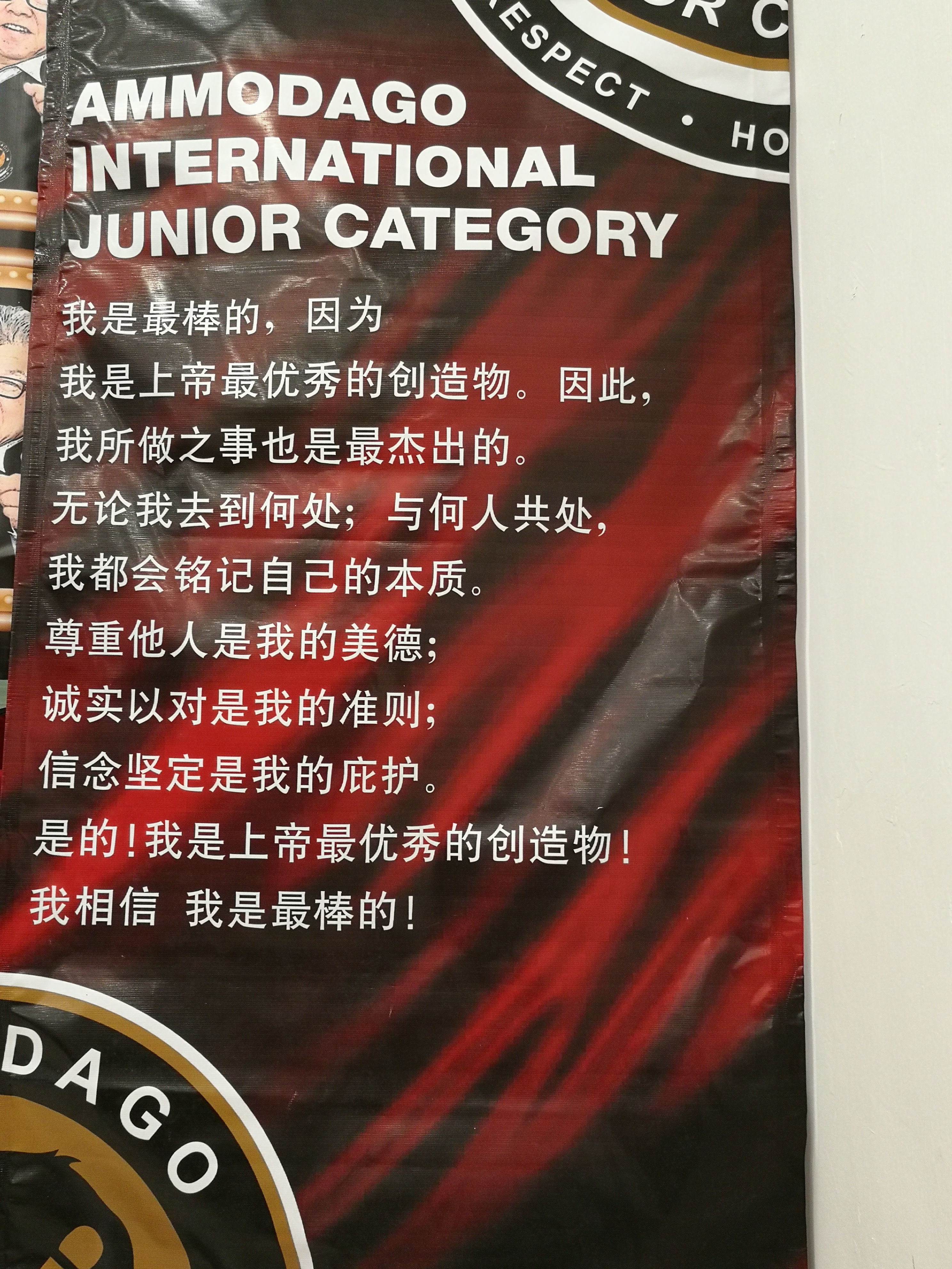 Day 1 of Ammodago International - Junior Category in Malaysia - Master David Goh at Gereja Joy Sogo 苏雅喜乐堂