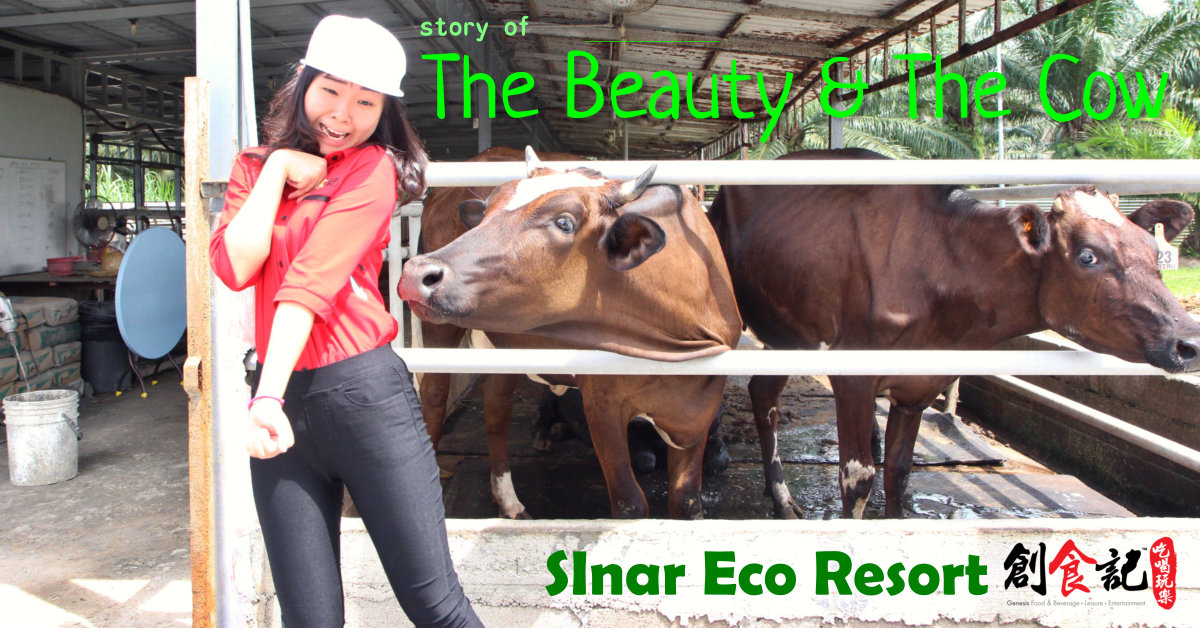 The Beauty and The Cow