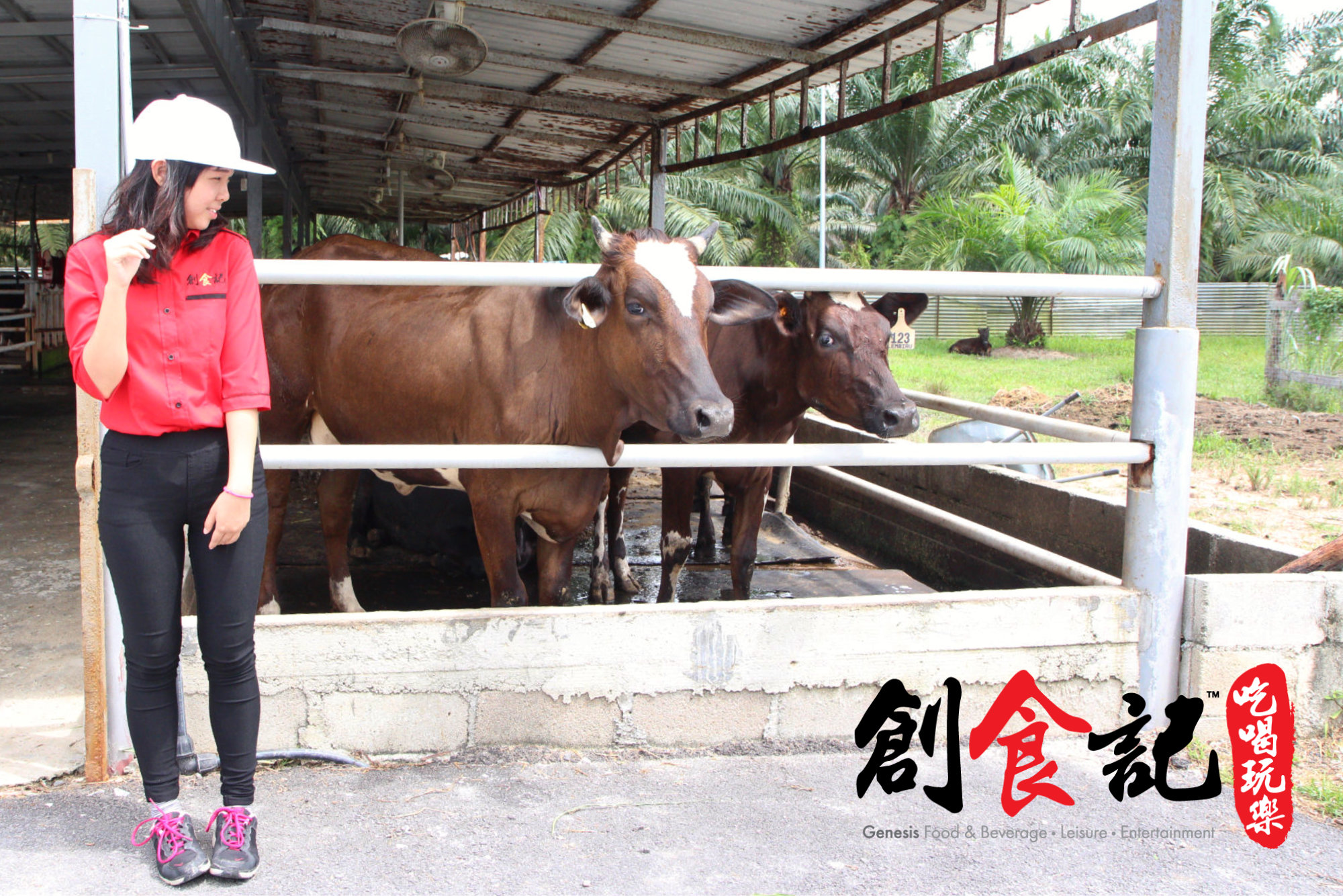 创食记 @ Sinar Eco Resort Pekan Nanas Johor Malaysia Family Gathering Camp Travel Adventure Tourist Attraction