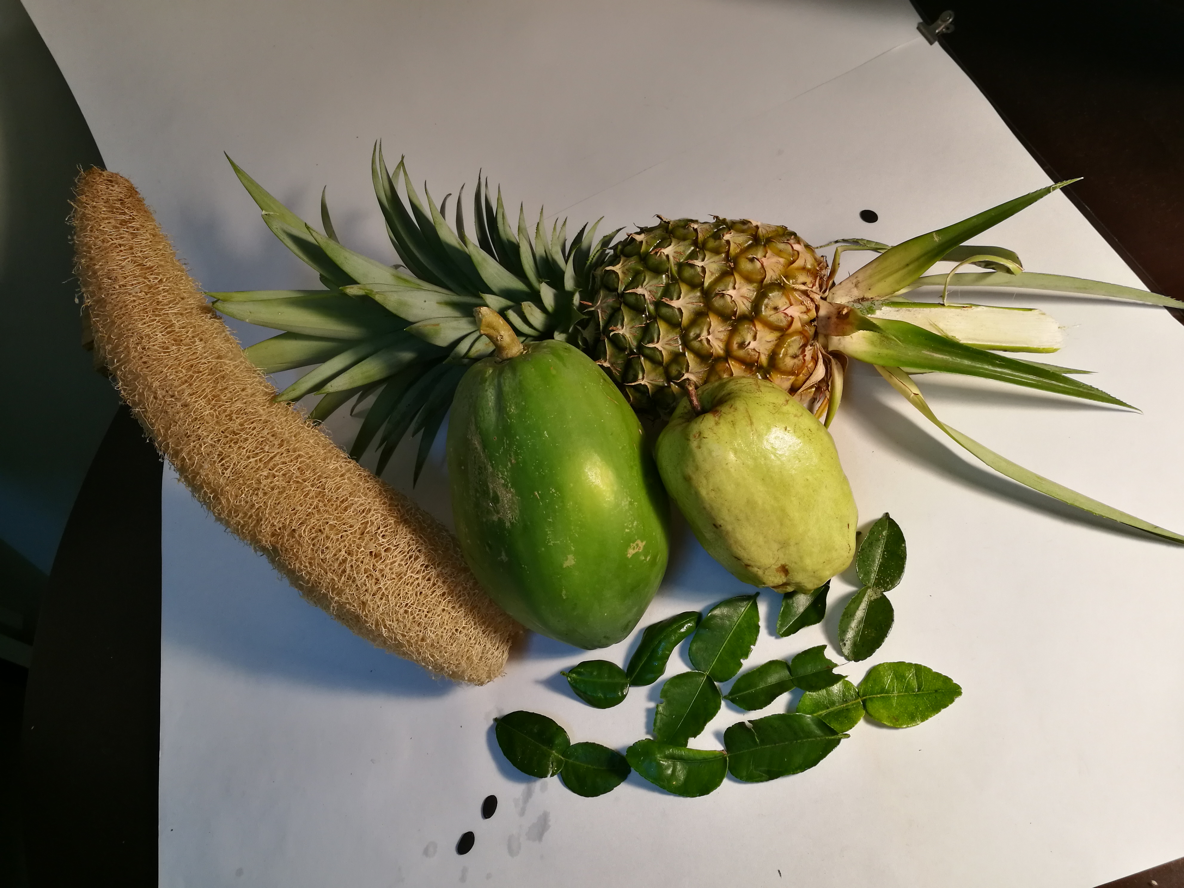 Malaysia Johor Batu Pahat Travel of Raymond Ong | Effye Ang | Pinky Ning | Estella Oon - A Trip Around Batu Pahat!