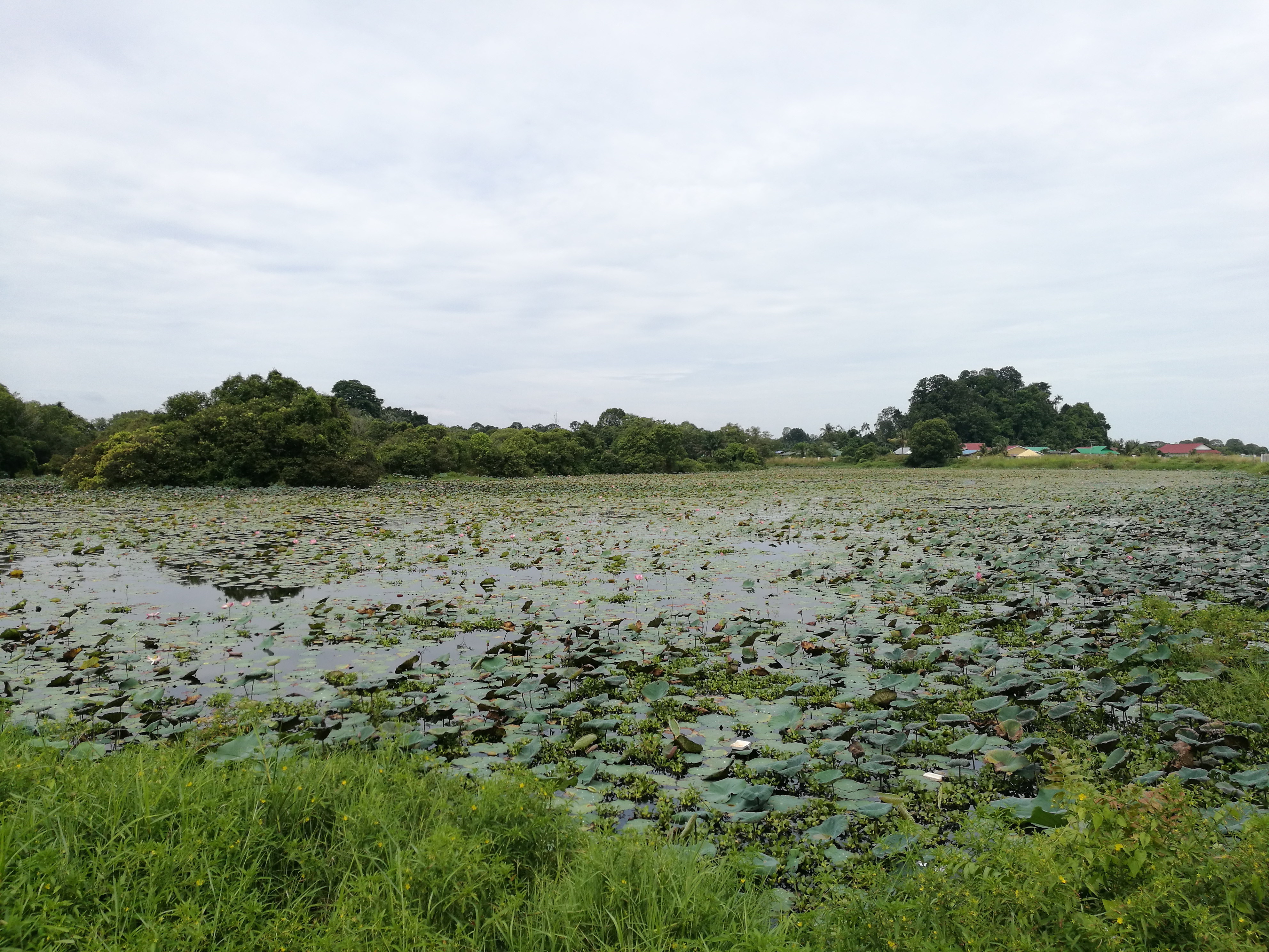 Malaysia Johor Batu Pahat Travel of Raymond Ong | Effye Ang | Pinky Ning | Estella Oon - A Trip Around Batu Pahat!