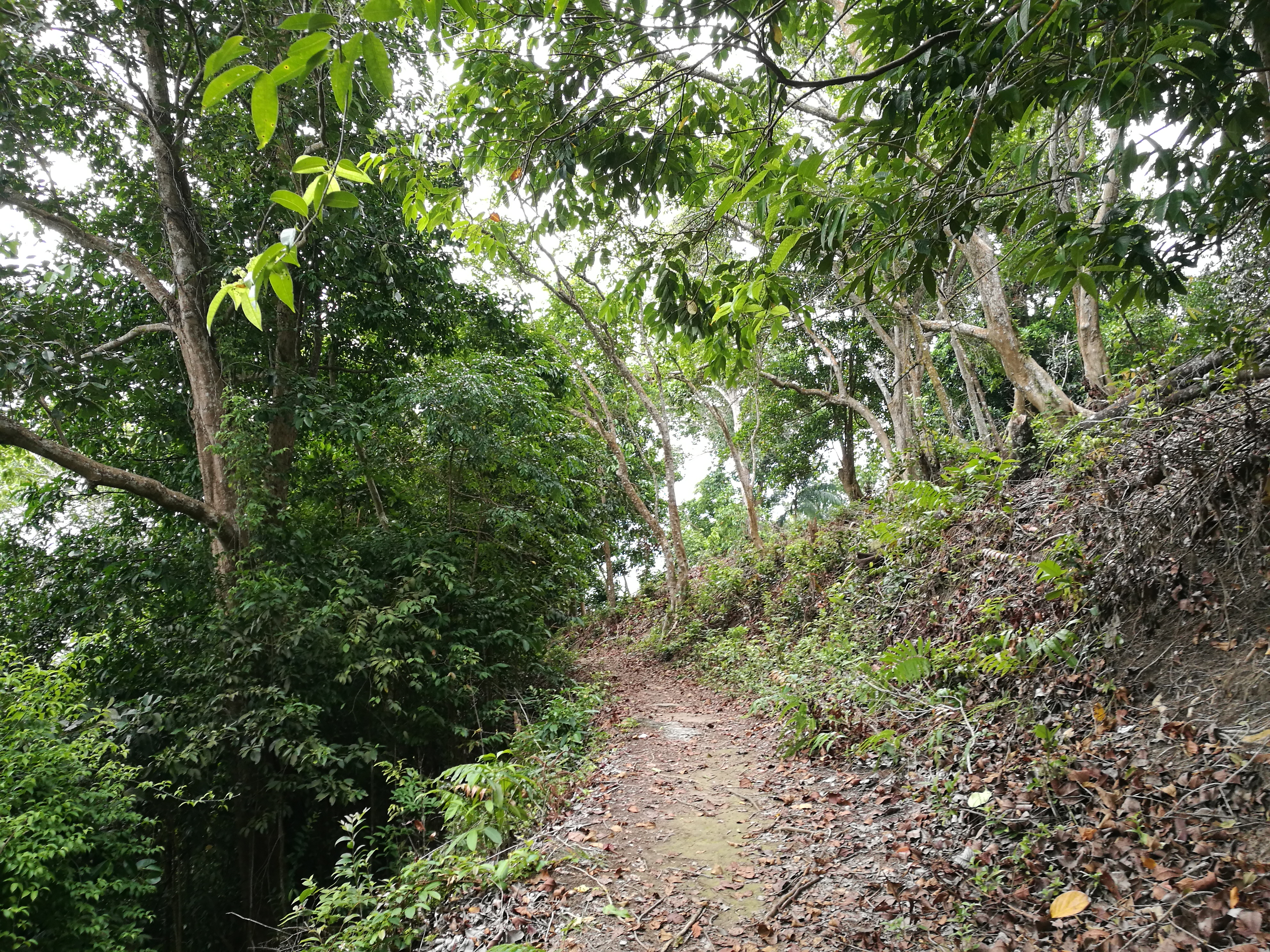 Malaysia Johor Batu Pahat Travel of Raymond Ong | Effye Ang | Pinky Ning | Estella Oon - A Trip Around Batu Pahat!