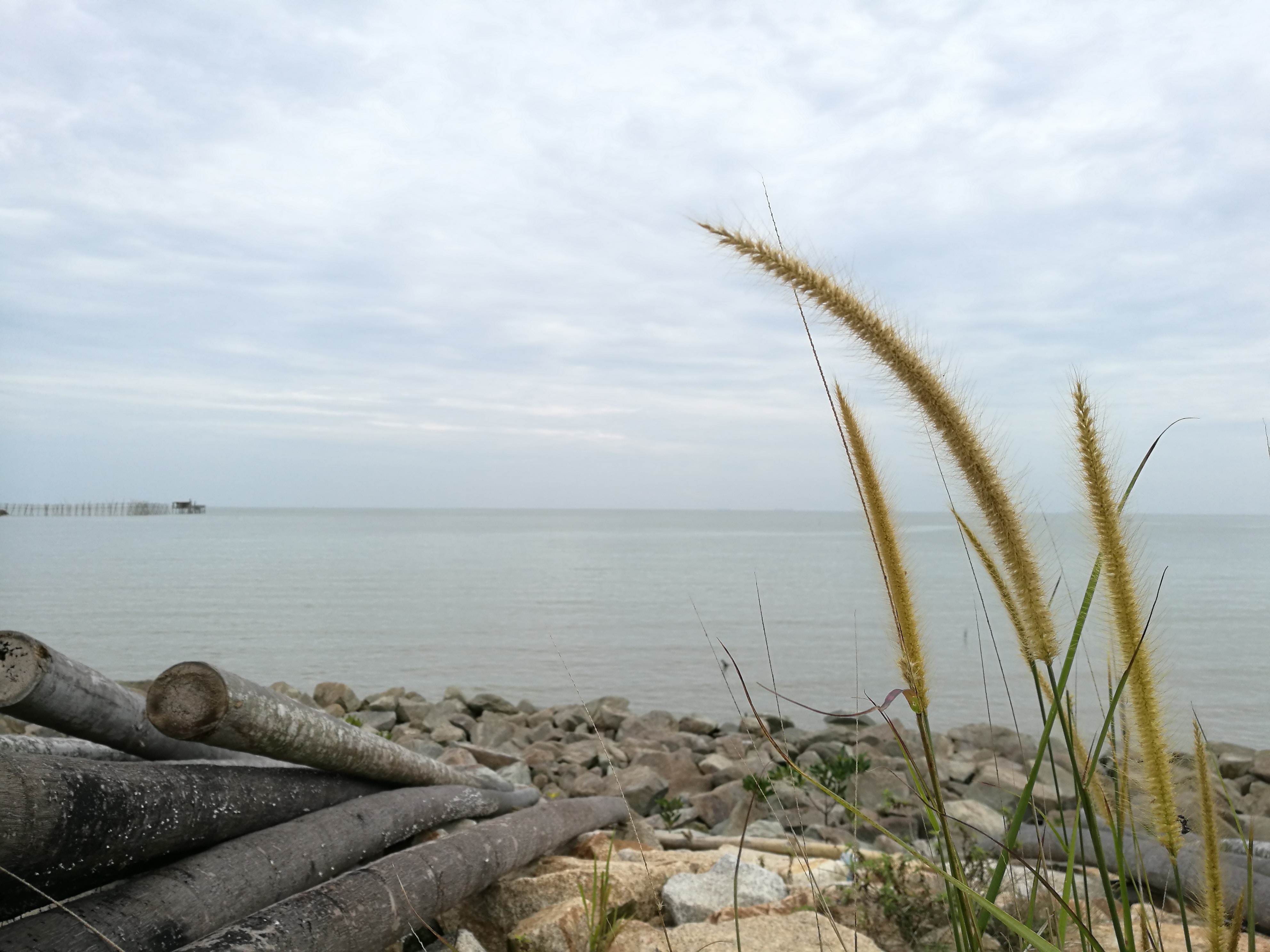 Malaysia Johor Batu Pahat Travel of Raymond Ong | Effye Ang | Pinky Ning | Estella Oon - A Trip Around Batu Pahat!