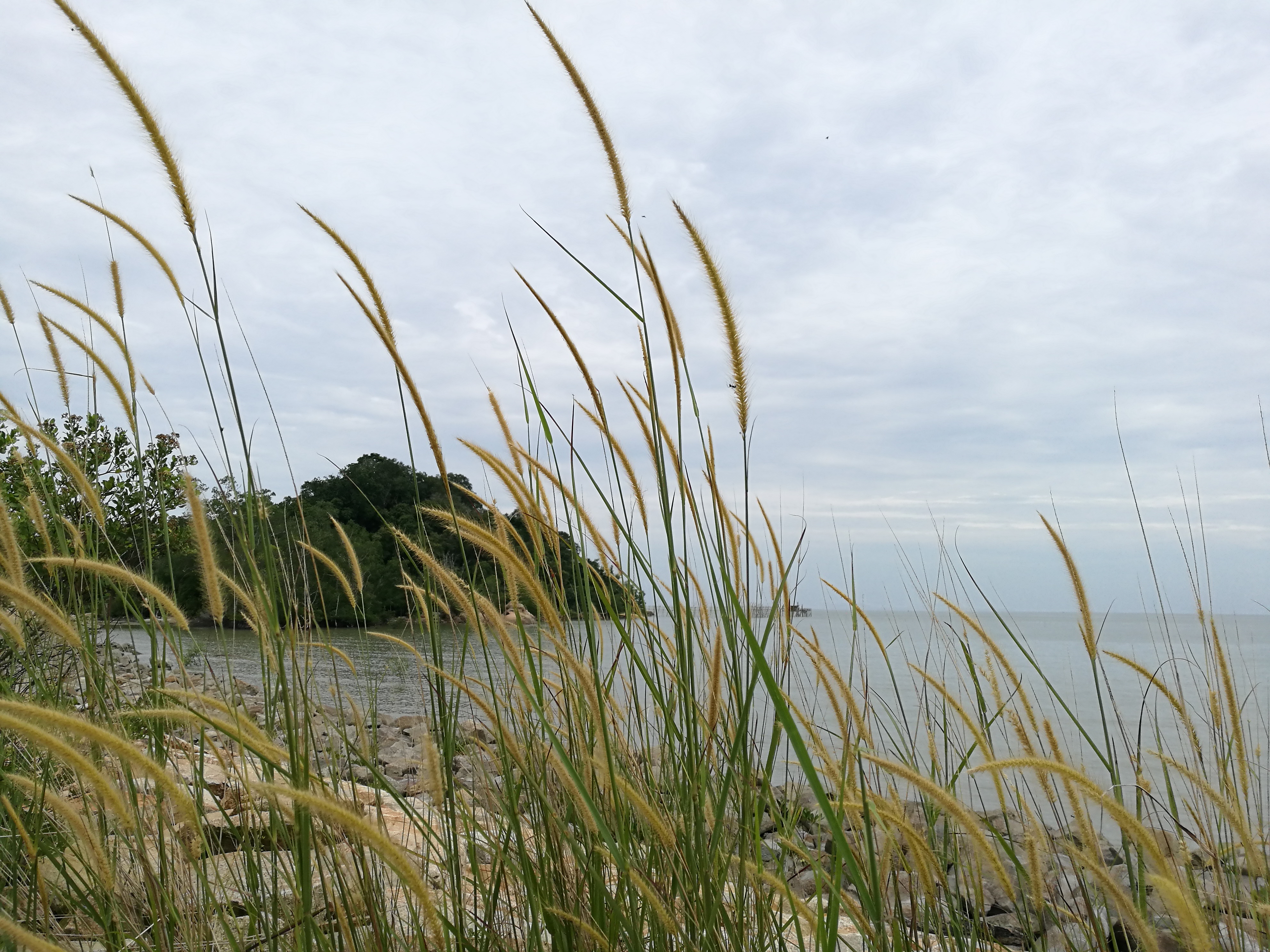 Malaysia Johor Batu Pahat Travel of Raymond Ong | Effye Ang | Pinky Ning | Estella Oon - A Trip Around Batu Pahat!