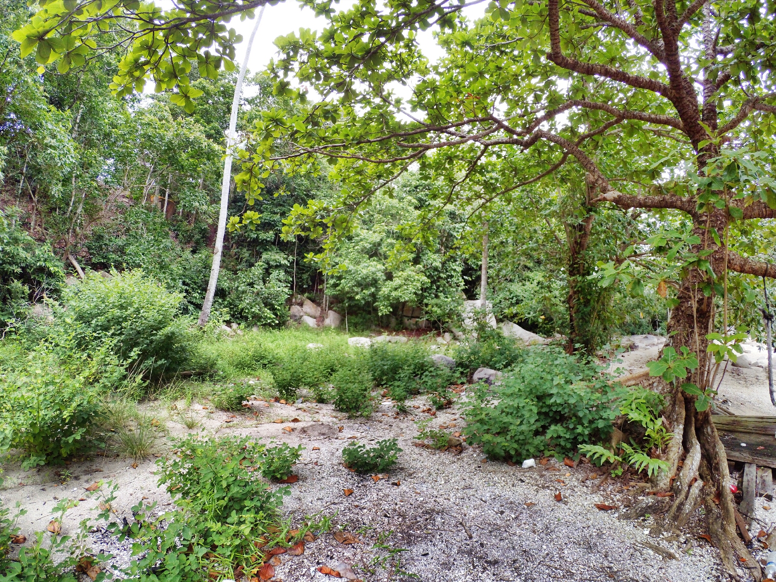 Malaysia Johor Batu Pahat Travel Raymond Ong | Effye Ang | Pinky Ning | Estella Oon - A Trip Around Batu Pahat!