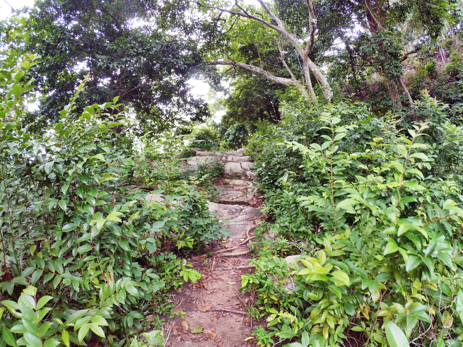 Malaysia Johor Batu Pahat Travel Raymond Ong | Effye Ang | Pinky Ning | Estella Oon - A Trip Around Batu Pahat!