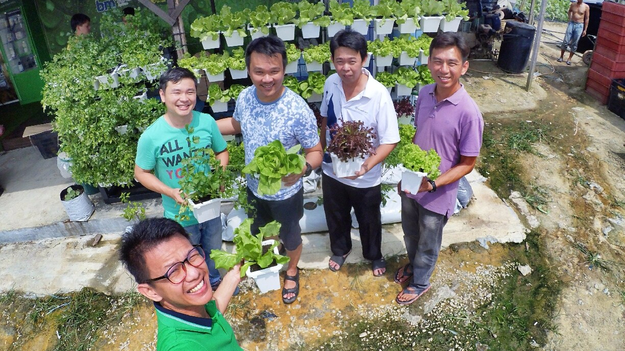 马来西亚 城市农场 从心做起 绿纳