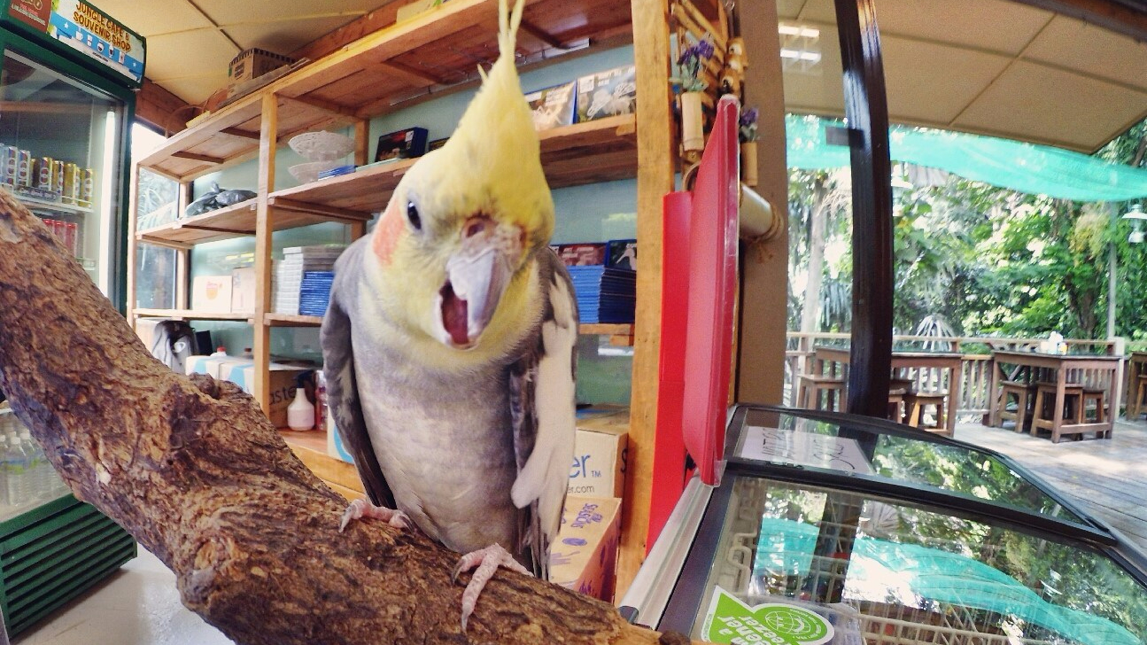 A Few Hours of Fun – Friends – KL Tower