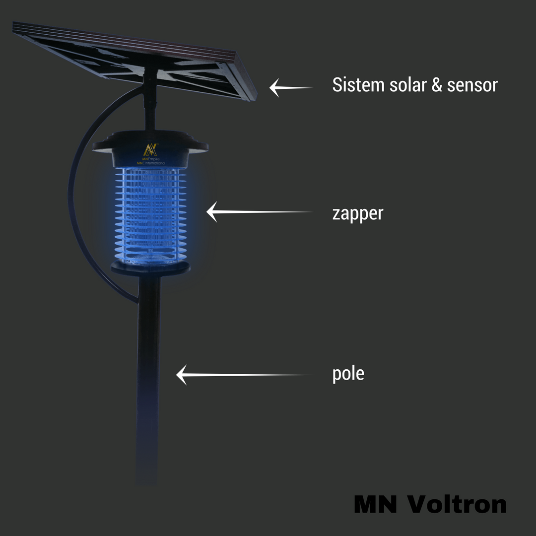 Wishing you a super special birthday!