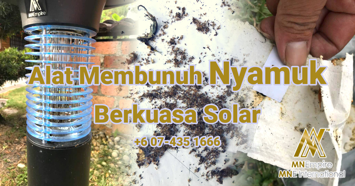 Contoh dan Hasil Produk – MNE International