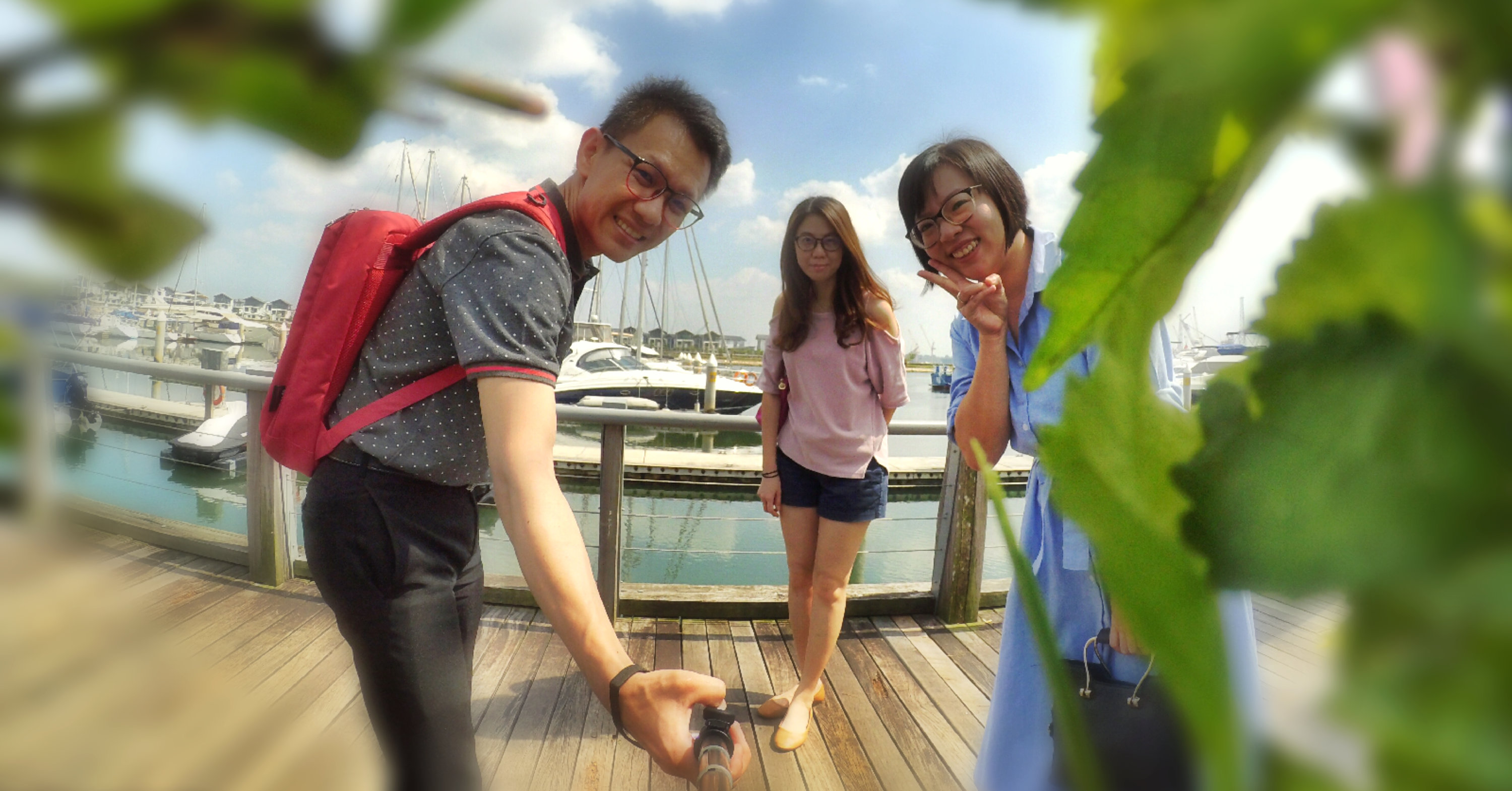 我们相聚在海湾