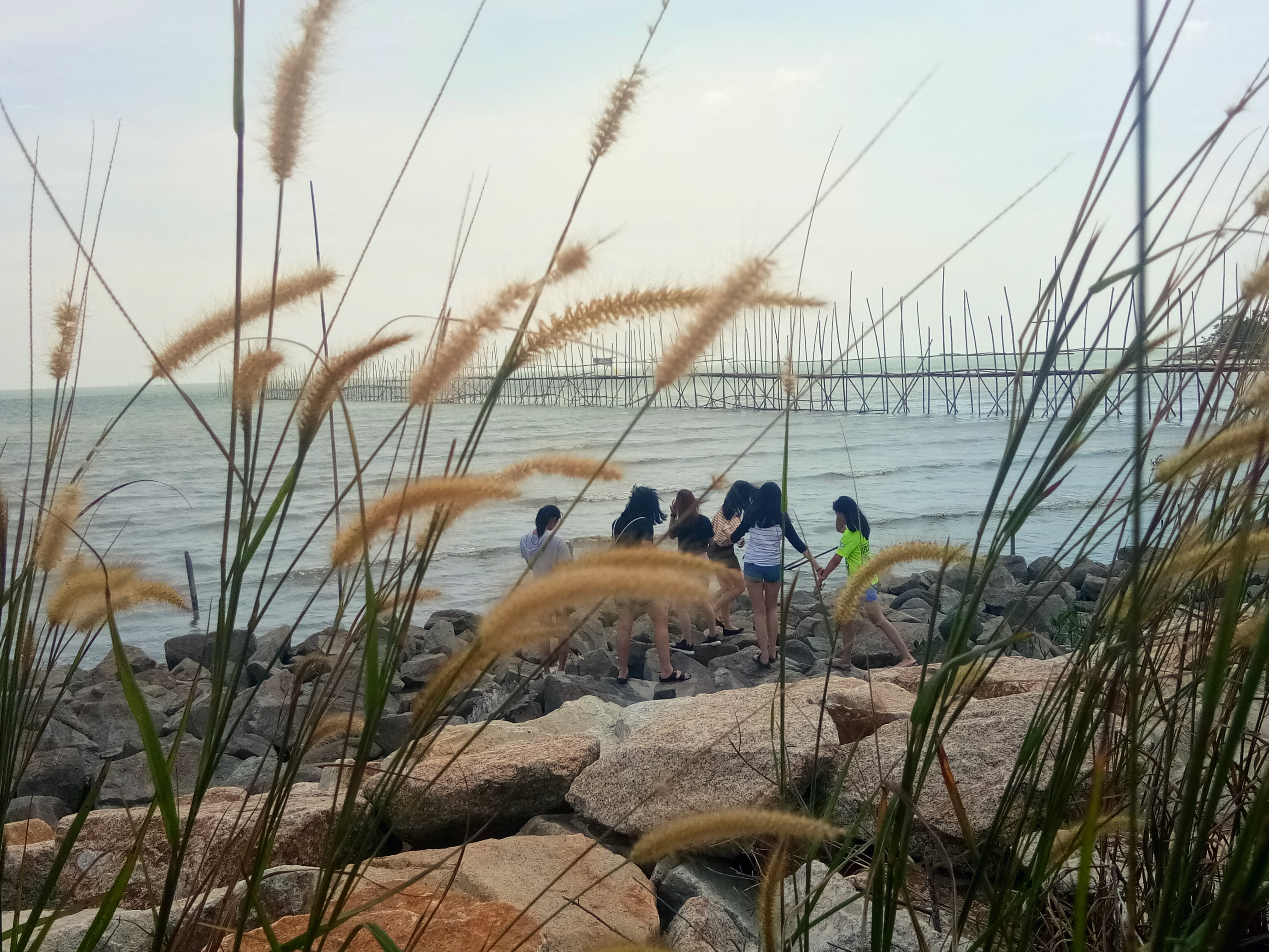 马来西亚 柔佛 峇株巴辖 生活体验 苏雅喜乐堂 门训生 Malaysia Johor Batu Pahat Trip Gereja Joy Soga B04