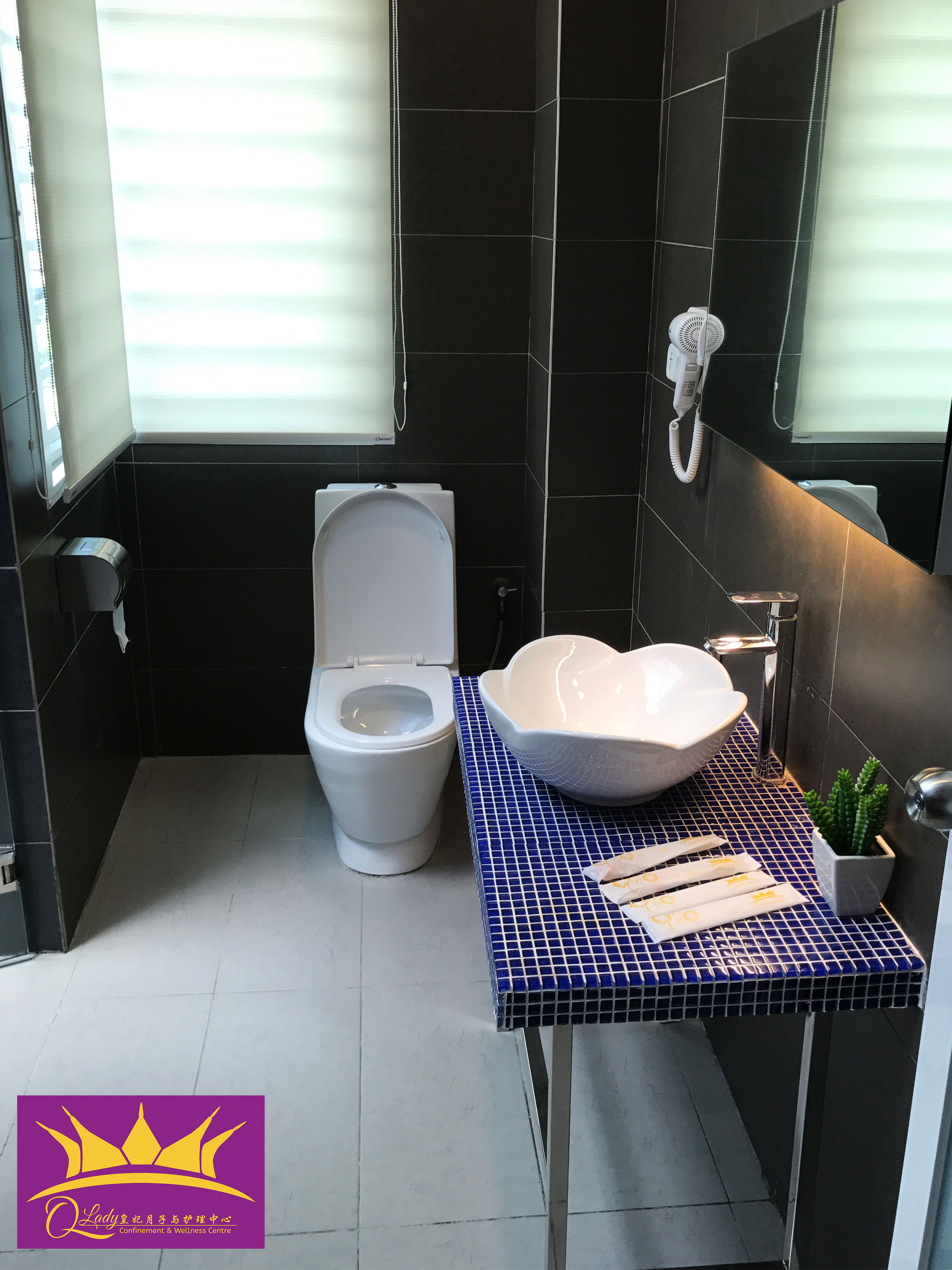 Qlady Confinement and Wellness Centre Batu Pahat Johor Malaysia Pregnant Care Awaiting Delivery Postpartum A57