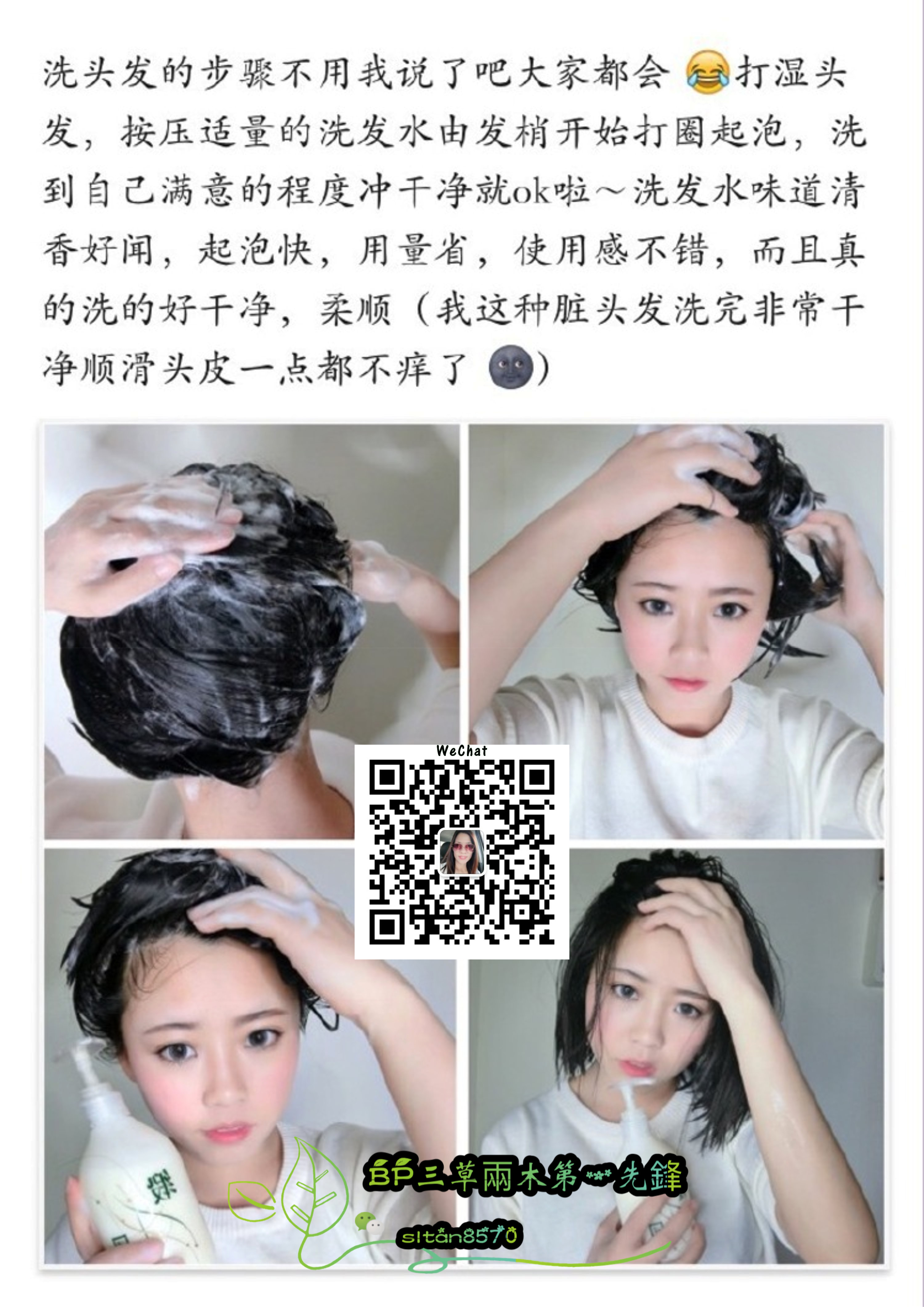 SASELOMO 洗发露 三草两木 野大豆籽深润营业洗发露 润养头皮 改善发质 抗紫外线 抗静电 轻松解决秀发 SiewLing Tan sltan8570 A09