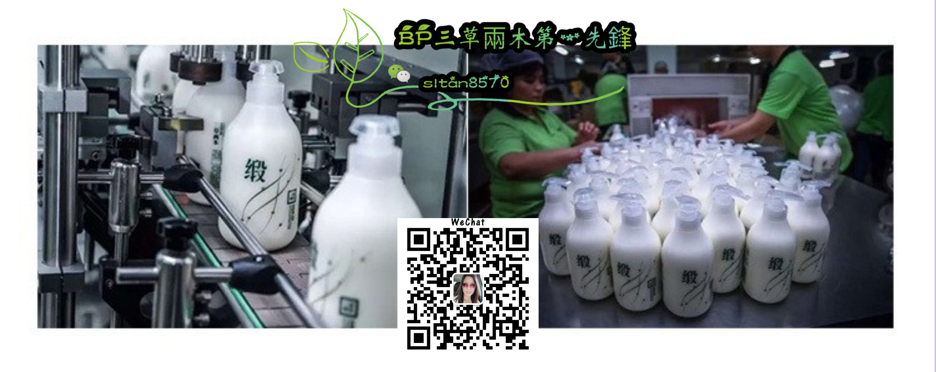 SASELOMO 洗发露 三草两木 野大豆籽深润营业洗发露 润养头皮 改善发质 抗紫外线 抗静电 轻松解决秀发 SiewLing Tan sltan8570 A10