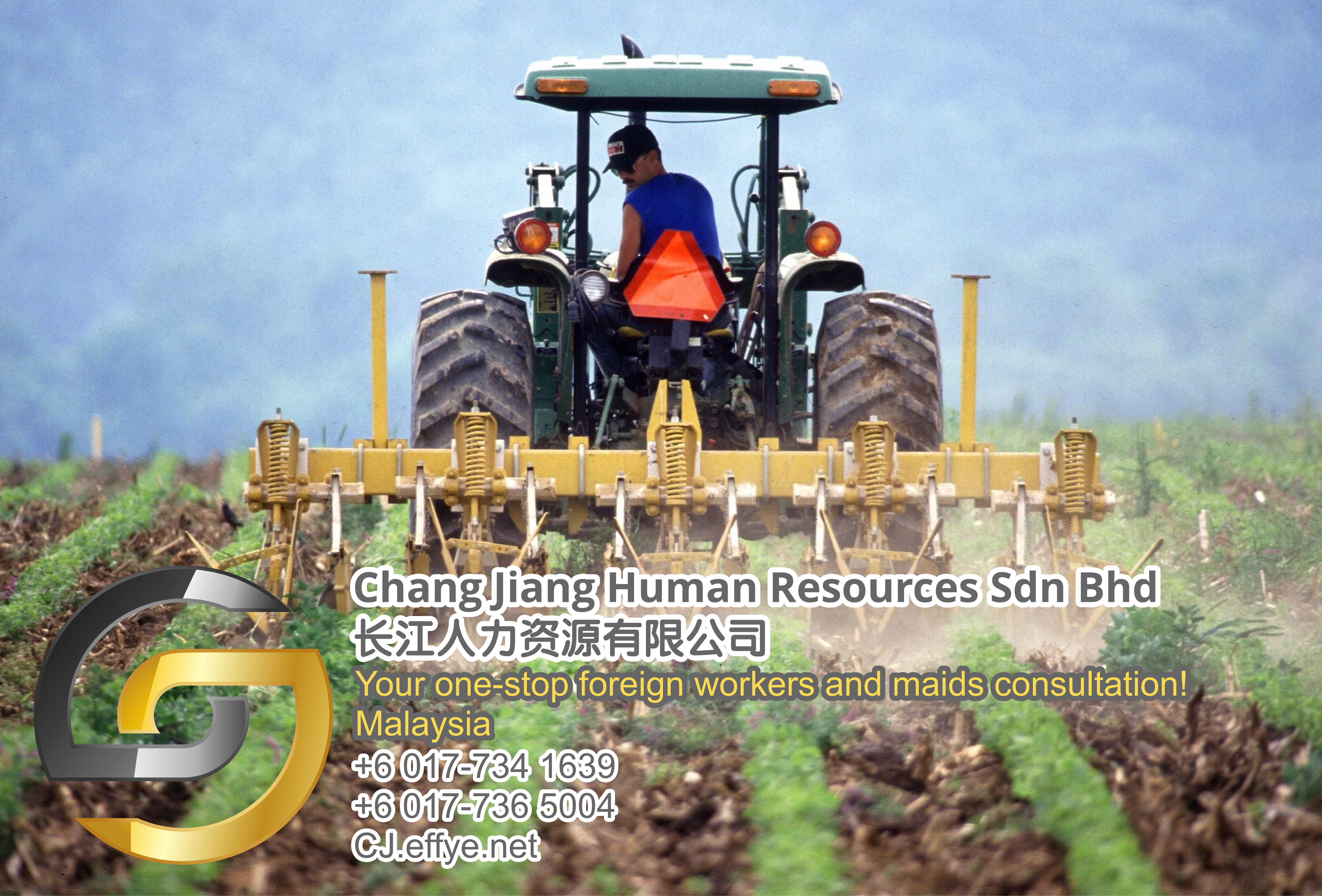 Chang Jiang Human Resources Johor Malaysia Foreign Worker Permit Passport Insurance Consultation Rehiring Workers and Maids EPA01-103