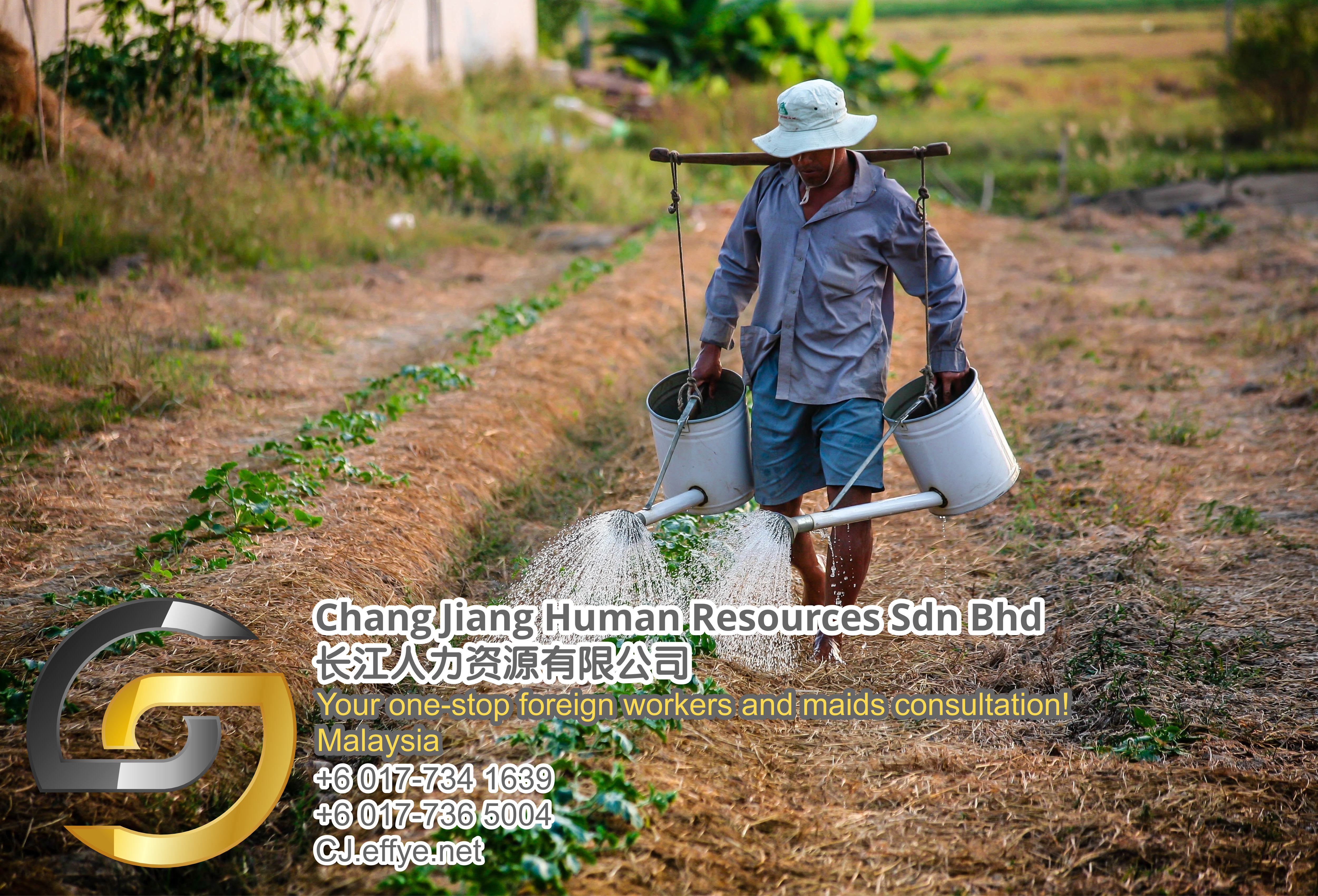 Chang Jiang Human Resources Johor Malaysia Foreign Worker Permit Passport Insurance Consultation Rehiring Workers and Maids EPA01-57