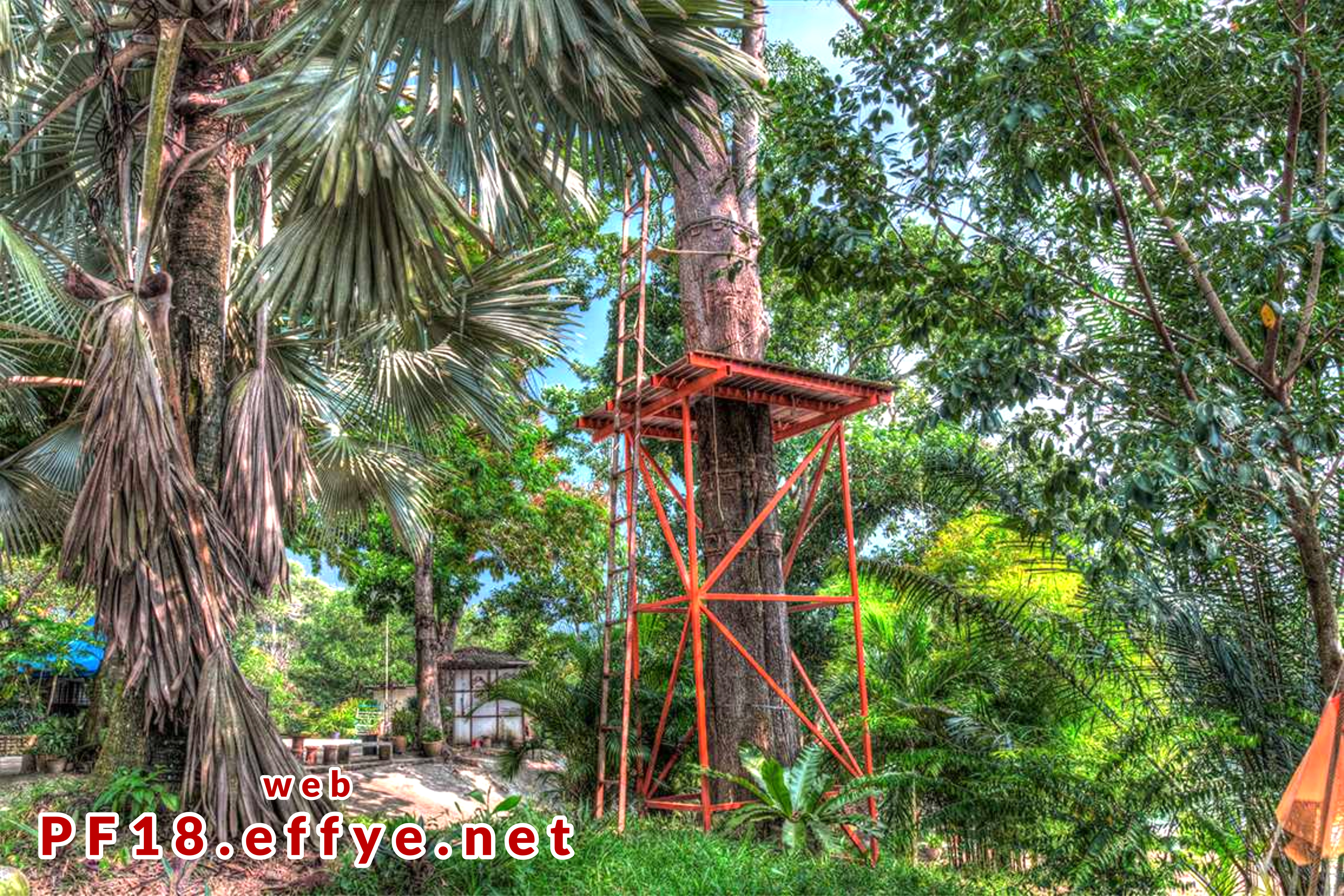 和平团契少年生活营 2018 你是谁 认识你自己 Peace Fellowship Youth Camp 2018 Who Are You Know Yourself Adventure Park Flying Fox A01