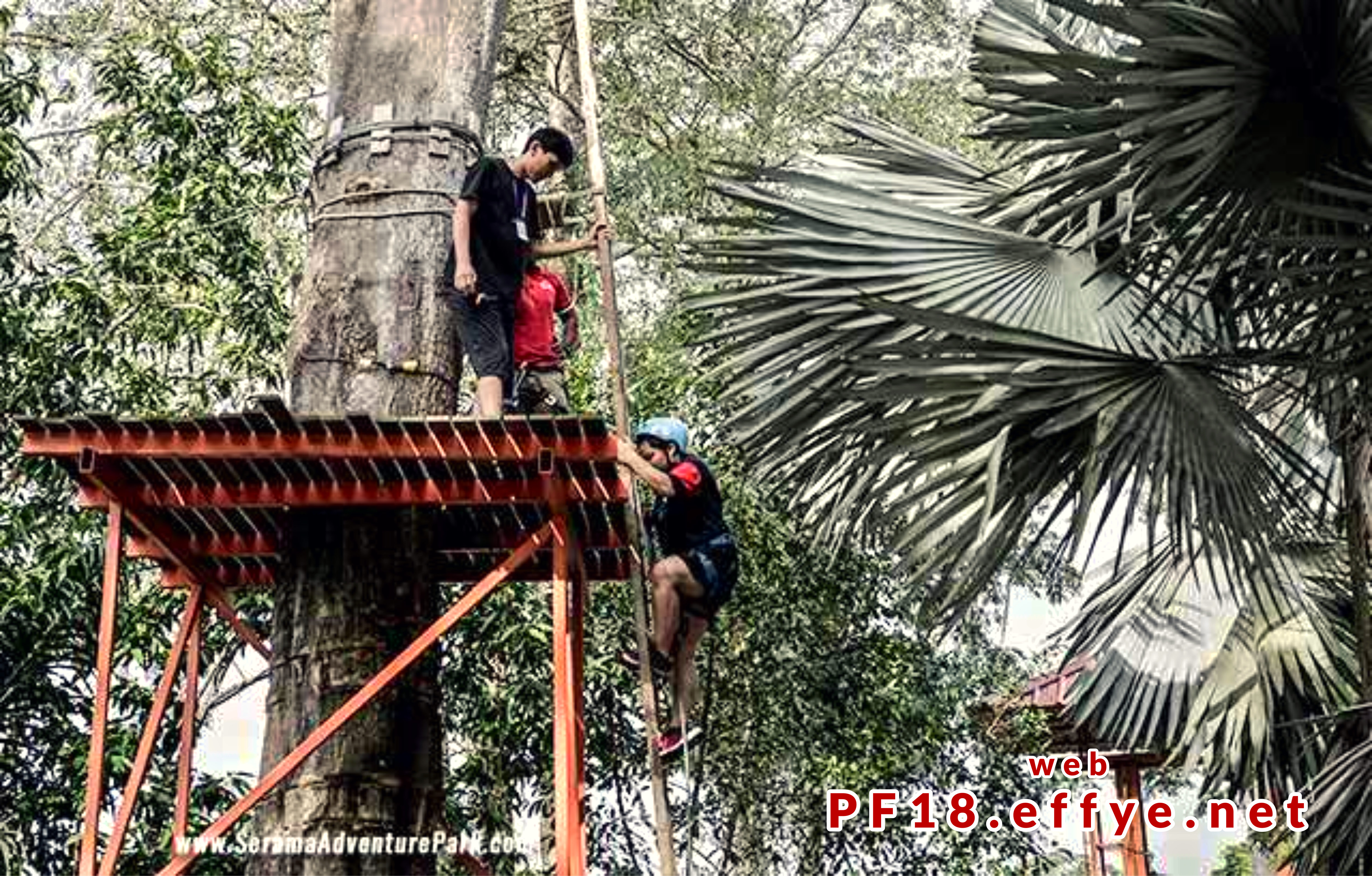 和平团契少年生活营 2018 你是谁 认识你自己 Peace Fellowship Youth Camp 2018 Who Are You Know Yourself Adventure Park Flying Fox A02