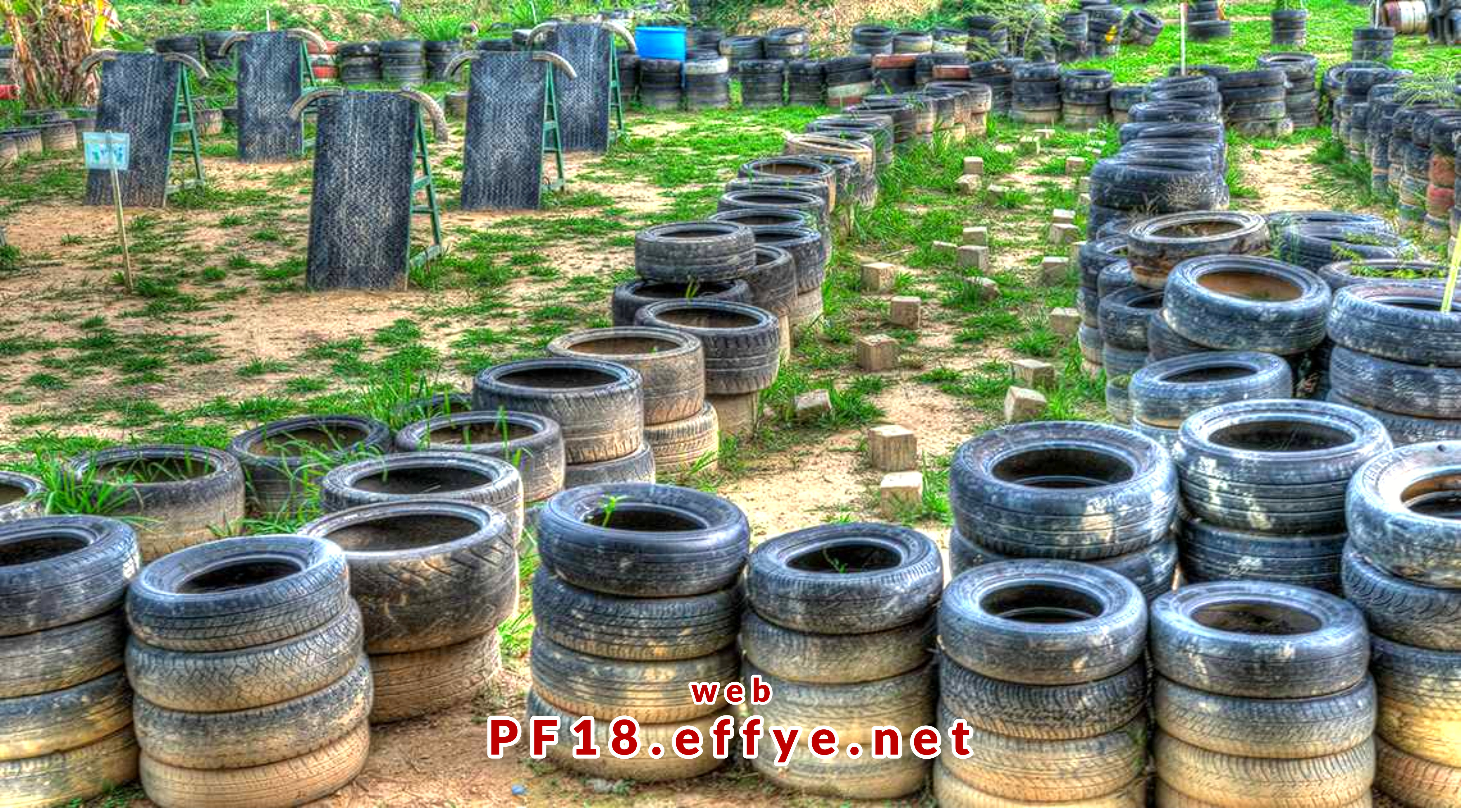 和平团契少年生活营 2018 你是谁 认识你自己 Peace Fellowship Youth Camp 2018 Who Are You Know Yourself Adventure Park Tyre Adventure A01