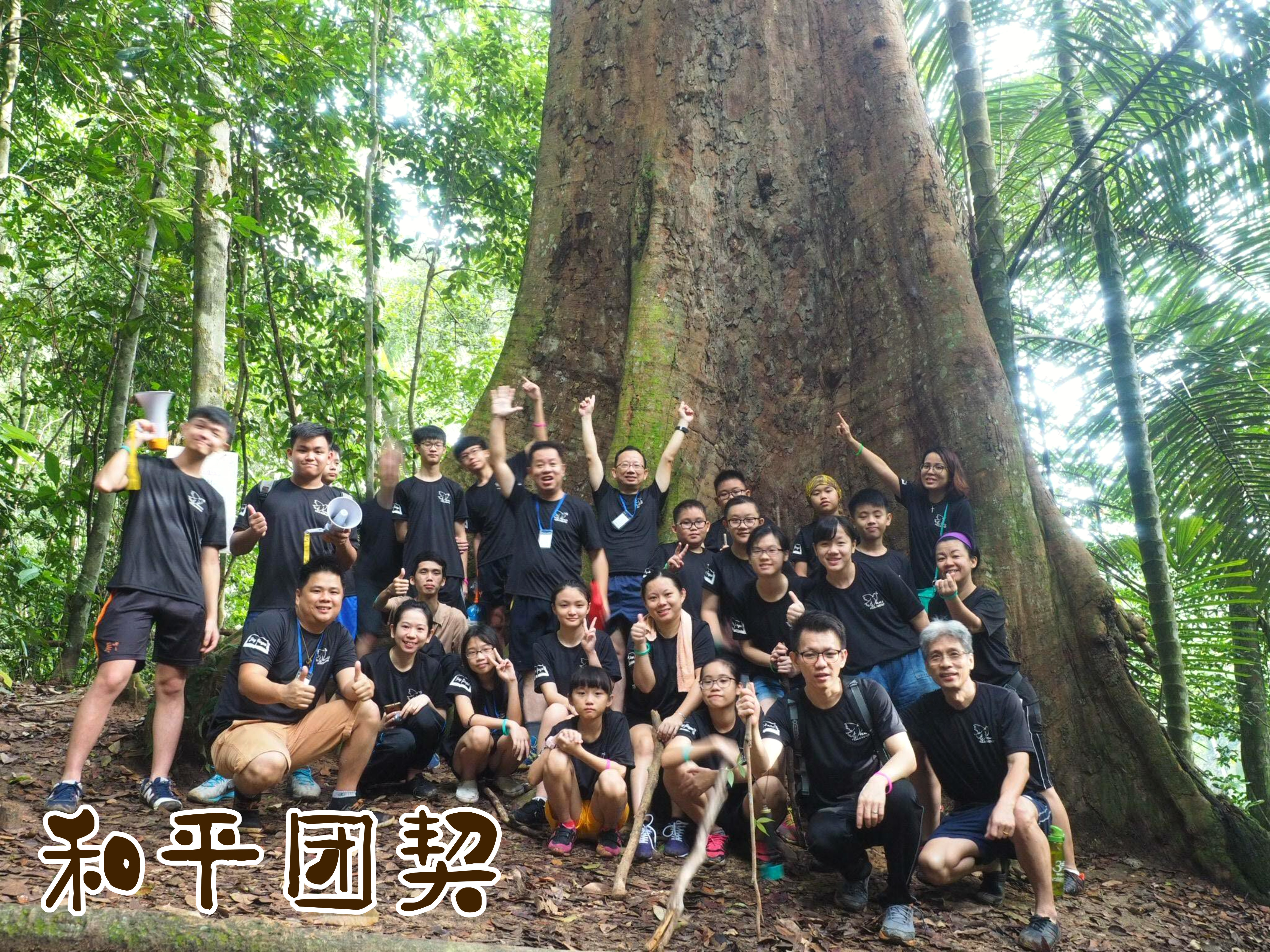 和平团契生活照 和平团契少年生活营 2018 你是谁 认识你自己 Peace Fellowship Youth Camp 2018 Who Are You Know Yourself B03