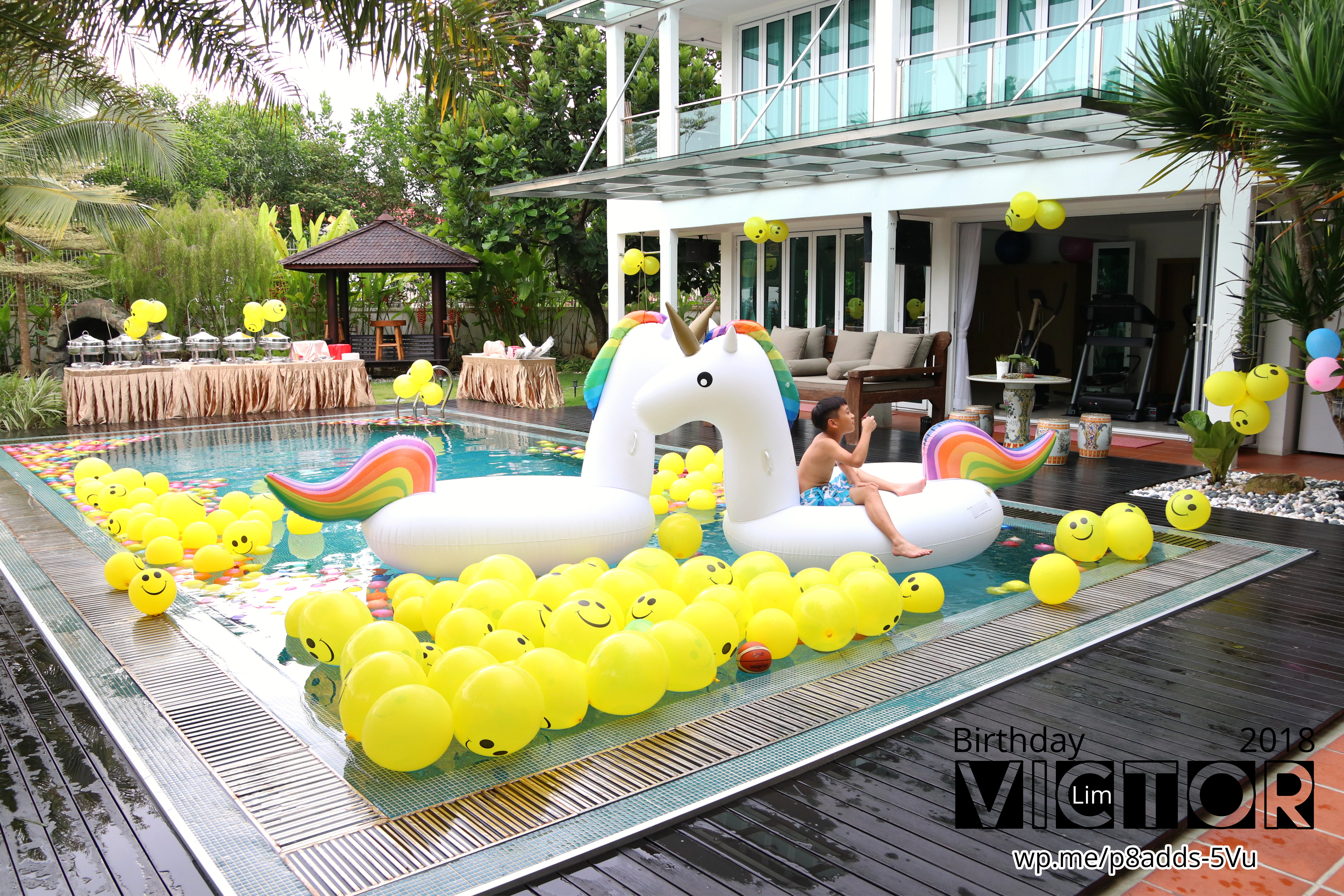Victor Lim Birthday 2018 in Malaysia Party Buffet Swimming Fun A06