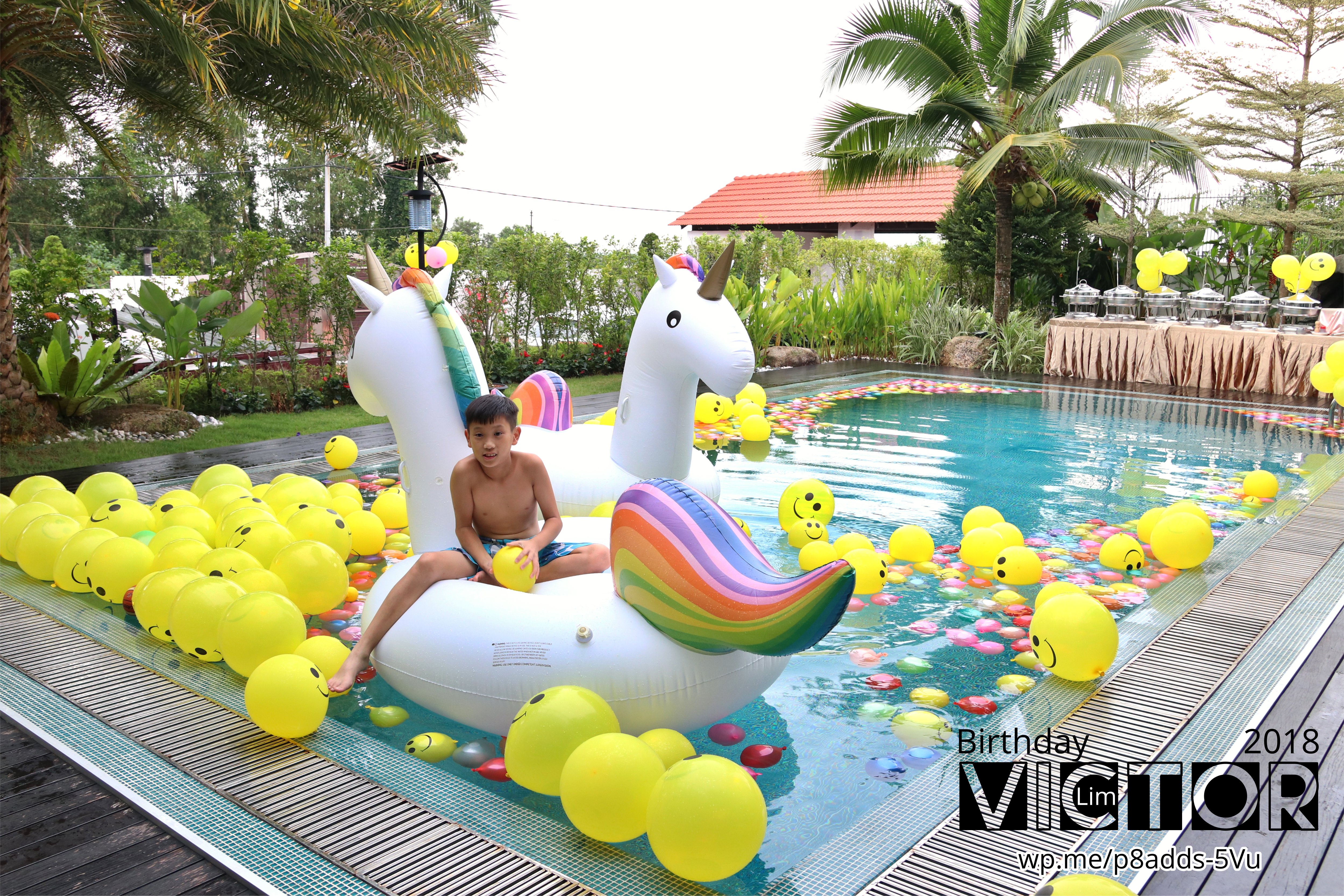 Victor Lim Birthday 2018 in Malaysia Party Buffet Swimming Fun A11
