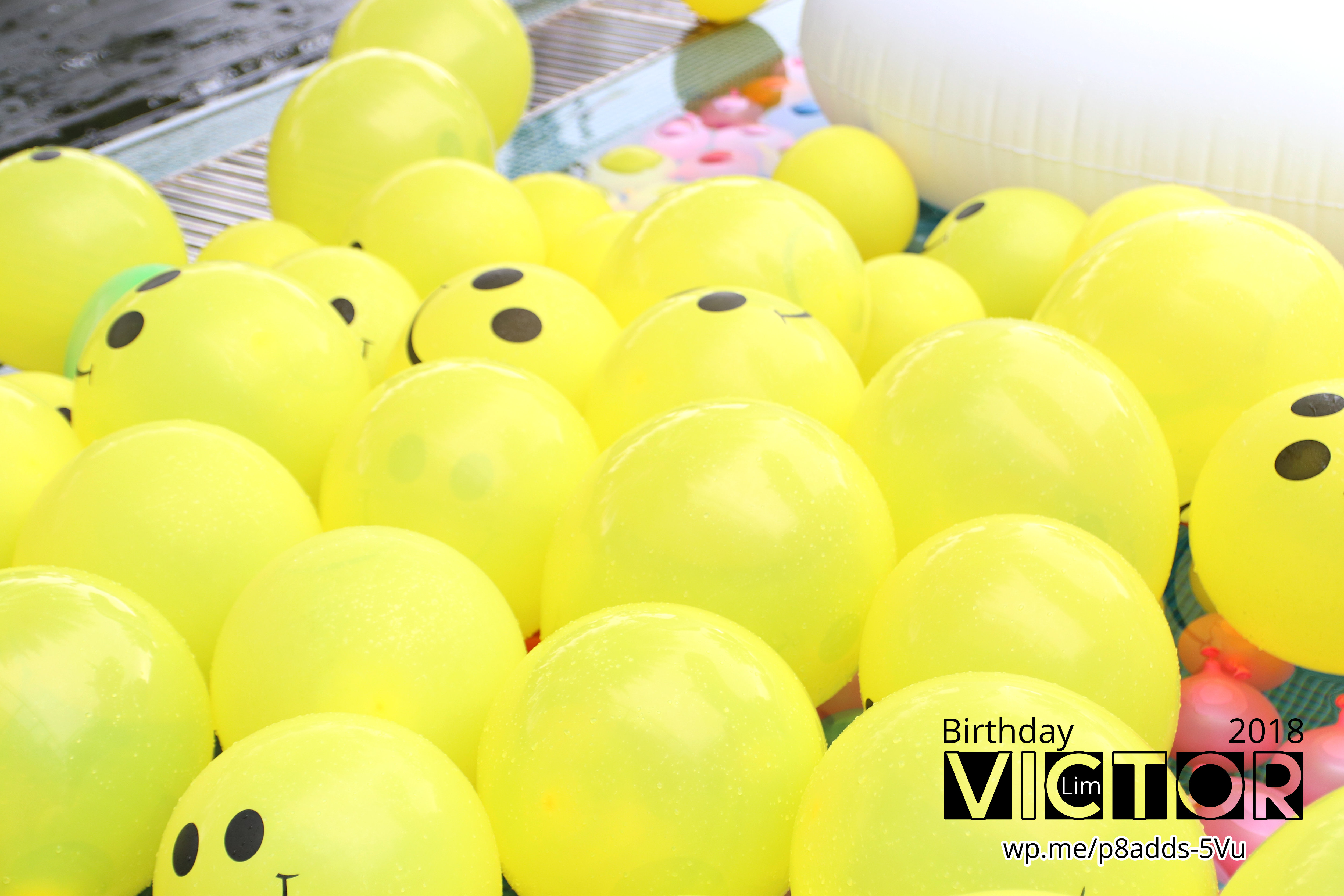 Victor Lim Birthday 2018 in Malaysia Party Buffet Swimming Fun A15