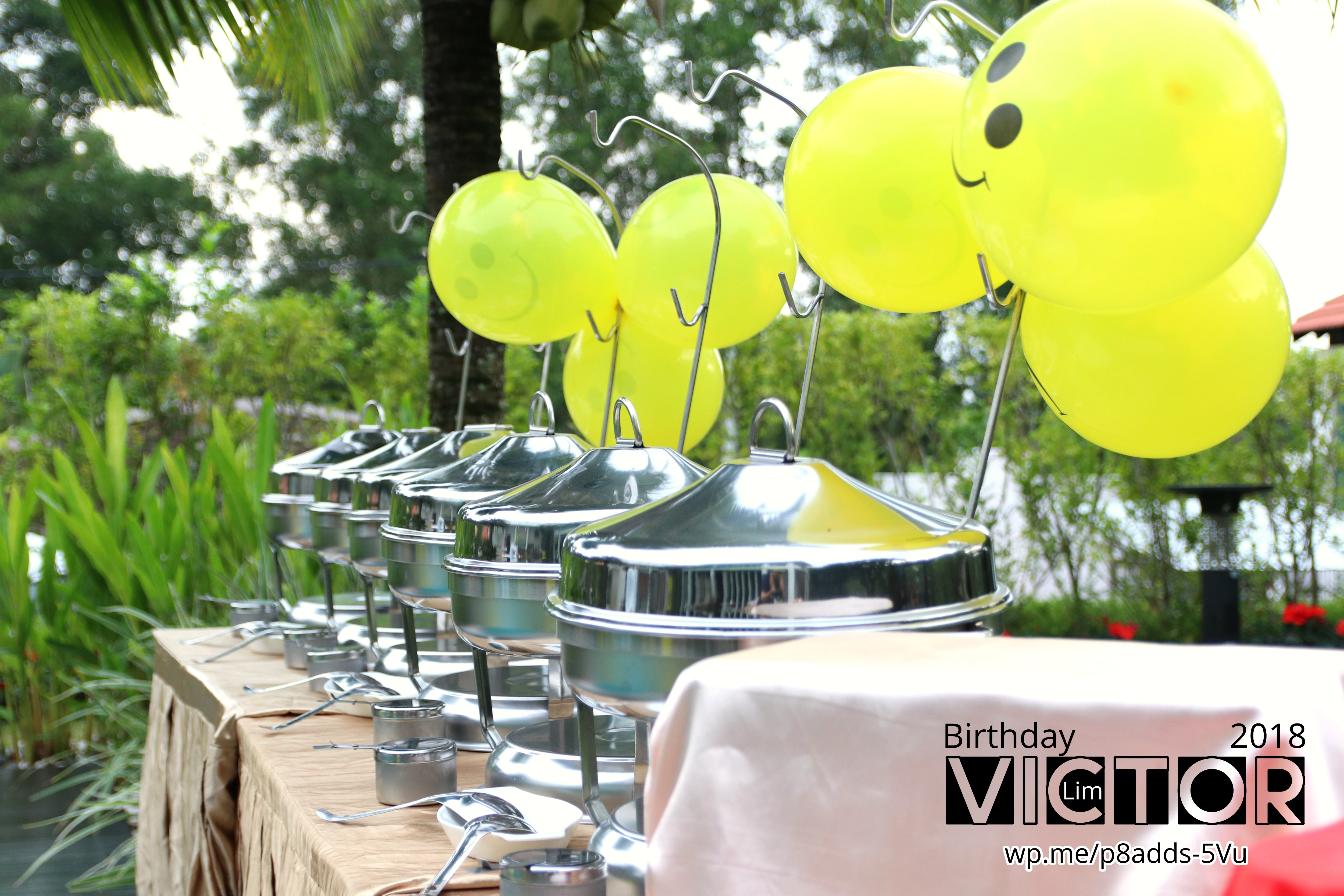 Victor Lim Birthday 2018 in Malaysia Party Buffet Swimming Fun A17