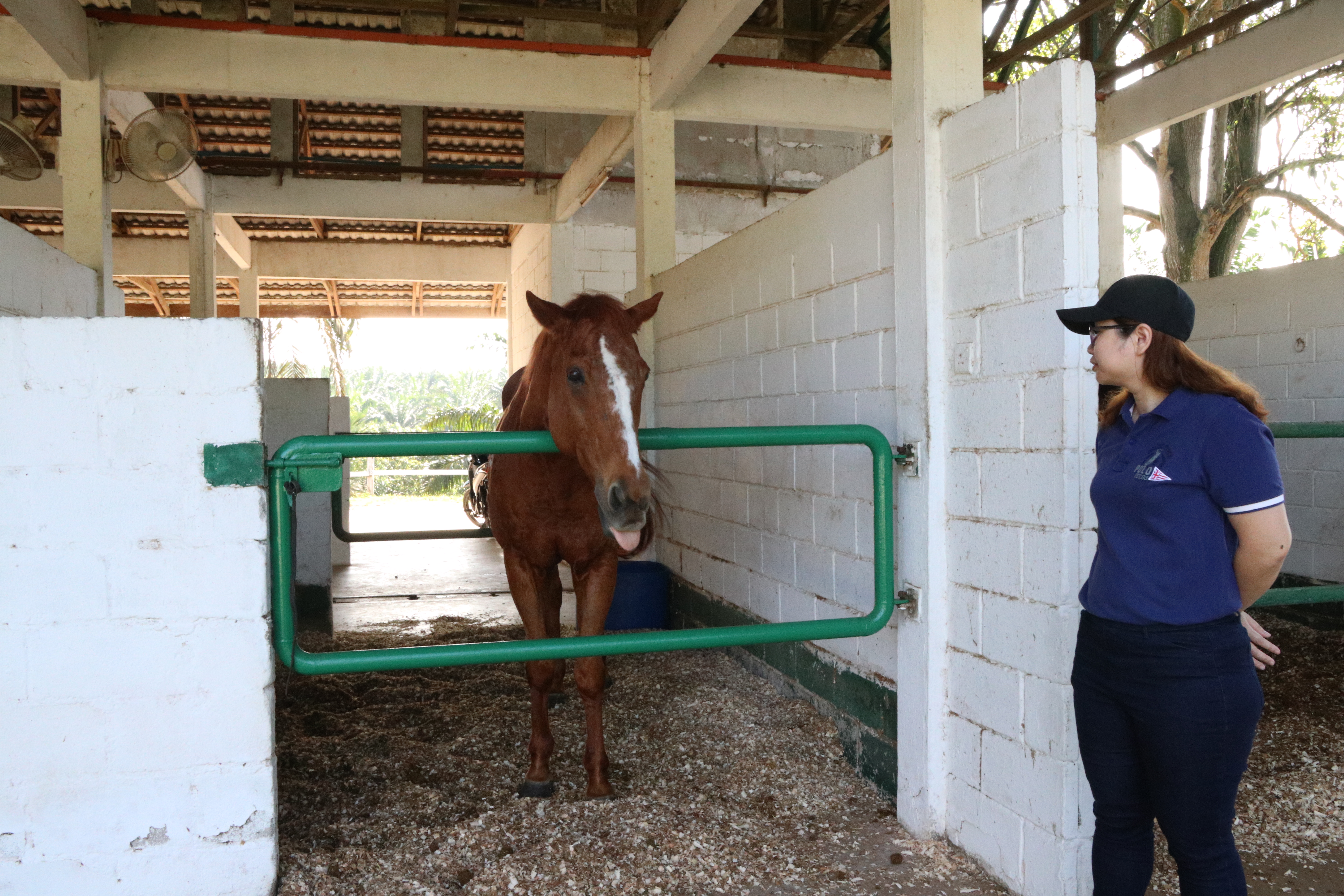 Unilink Group Company Trip 2018 April from Agensi Pekerjaan Unilink Prospects Sdn Bhd Horse Riding at Johor Bahru 11