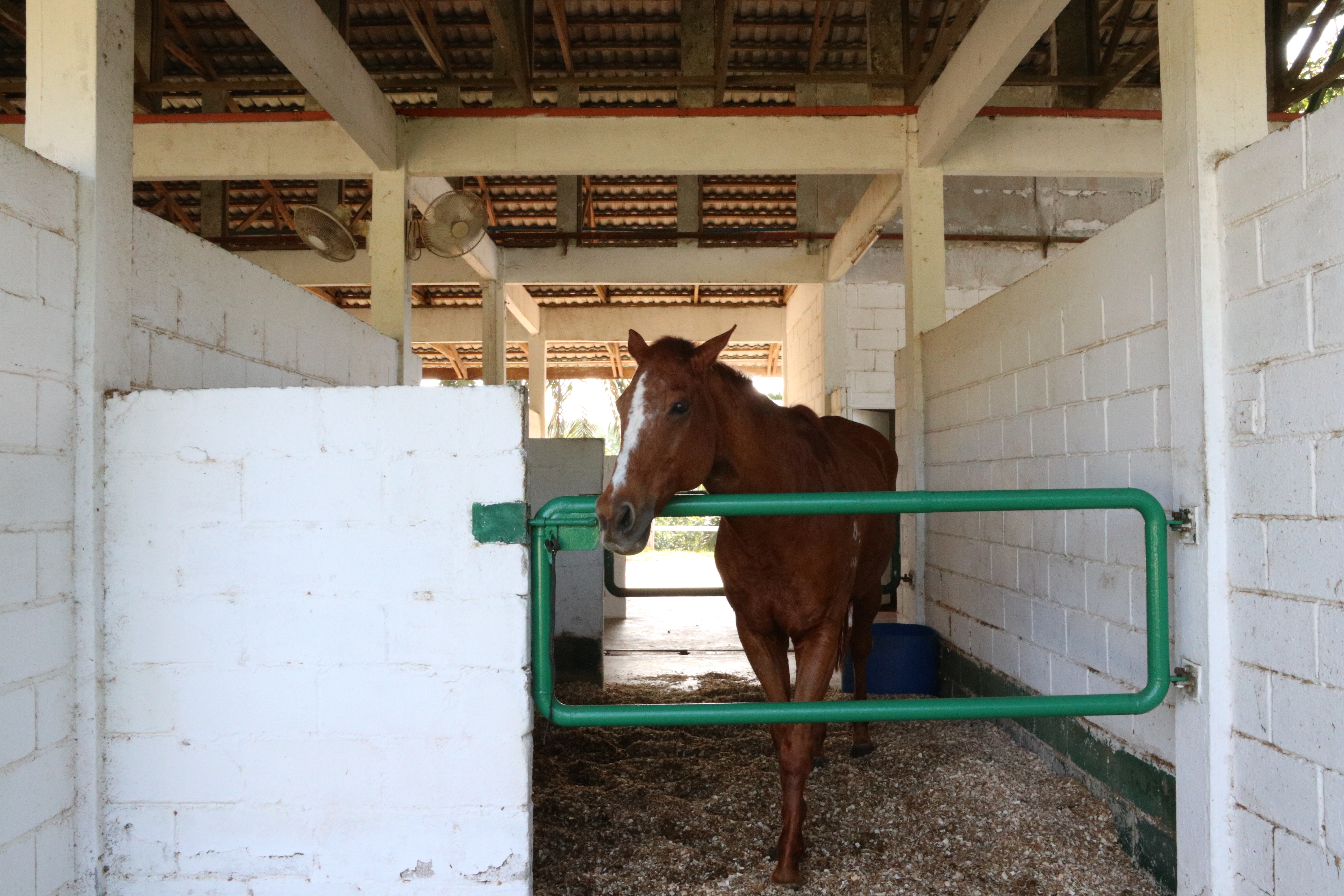 Unilink Group Company Trip 2018 April from Agensi Pekerjaan Unilink Prospects Sdn Bhd Horse Riding at Johor Bahru 12