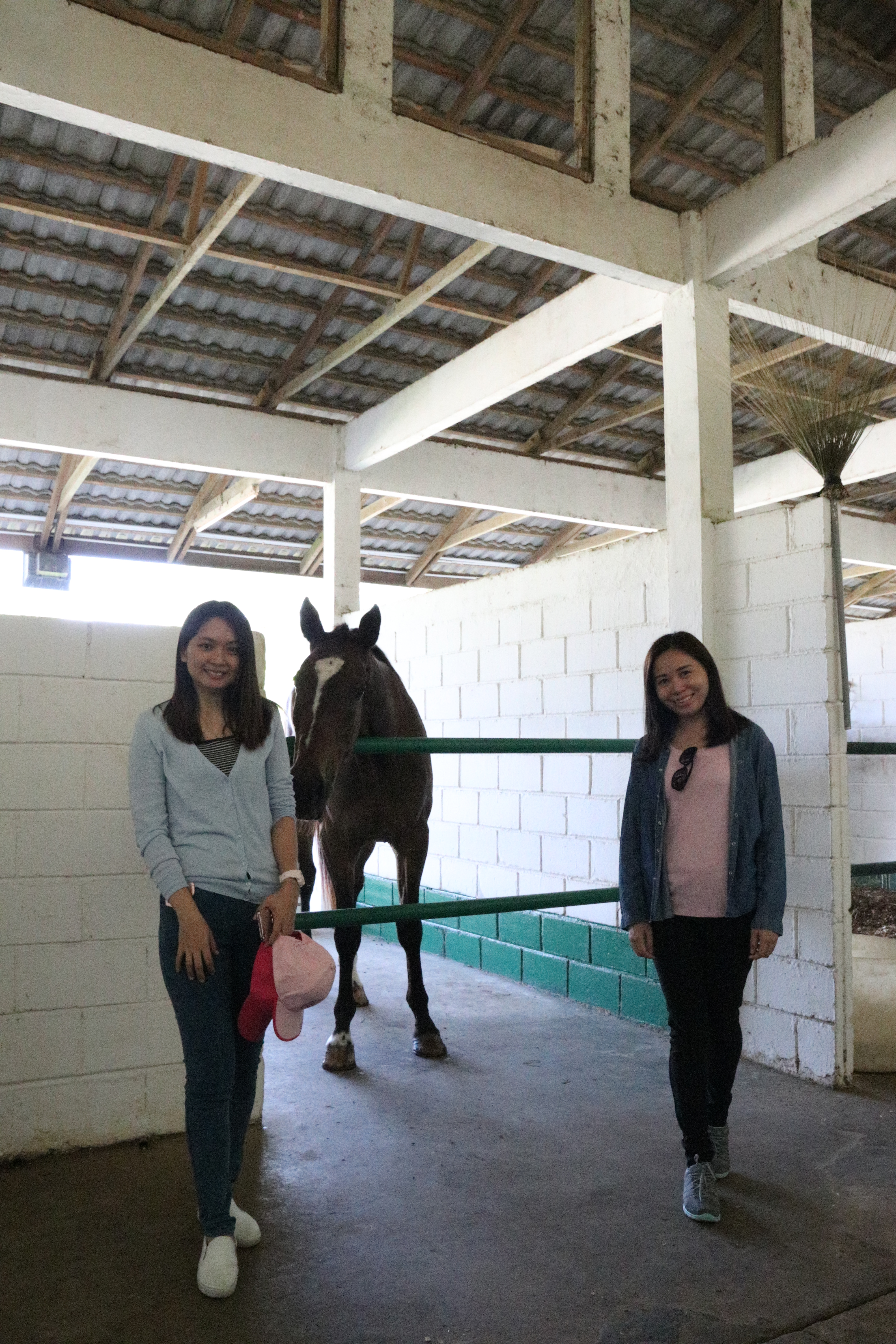 Unilink Group Company Trip 2018 April from Agensi Pekerjaan Unilink Prospects Sdn Bhd Horse Riding at Johor Bahru 14