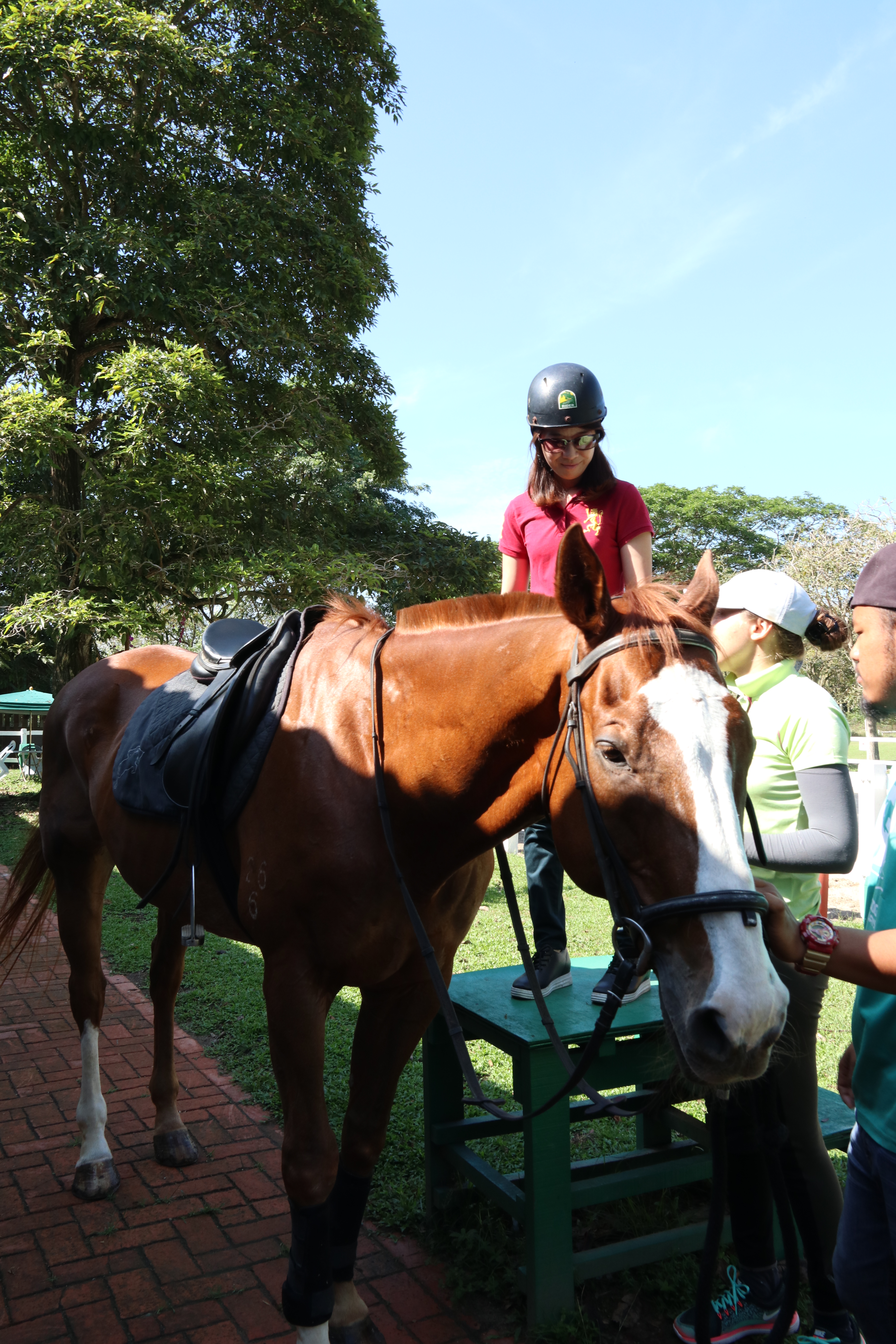 Unilink Group Company Trip 2018 April from Agensi Pekerjaan Unilink Prospects Sdn Bhd Horse Riding at Johor Bahru 27