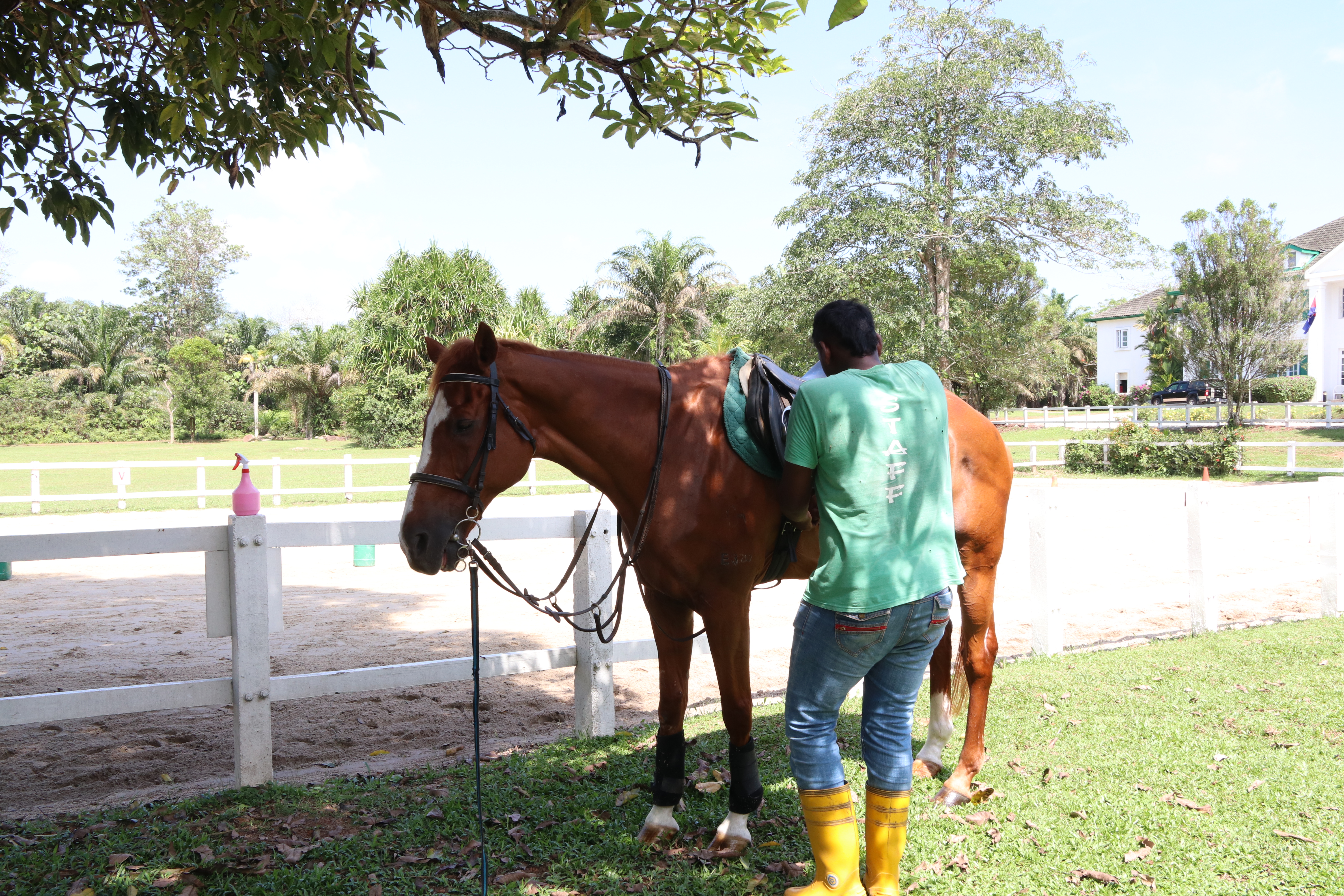 Unilink Group Company Trip 2018 April from Agensi Pekerjaan Unilink Prospects Sdn Bhd Horse Riding at Johor Bahru 51