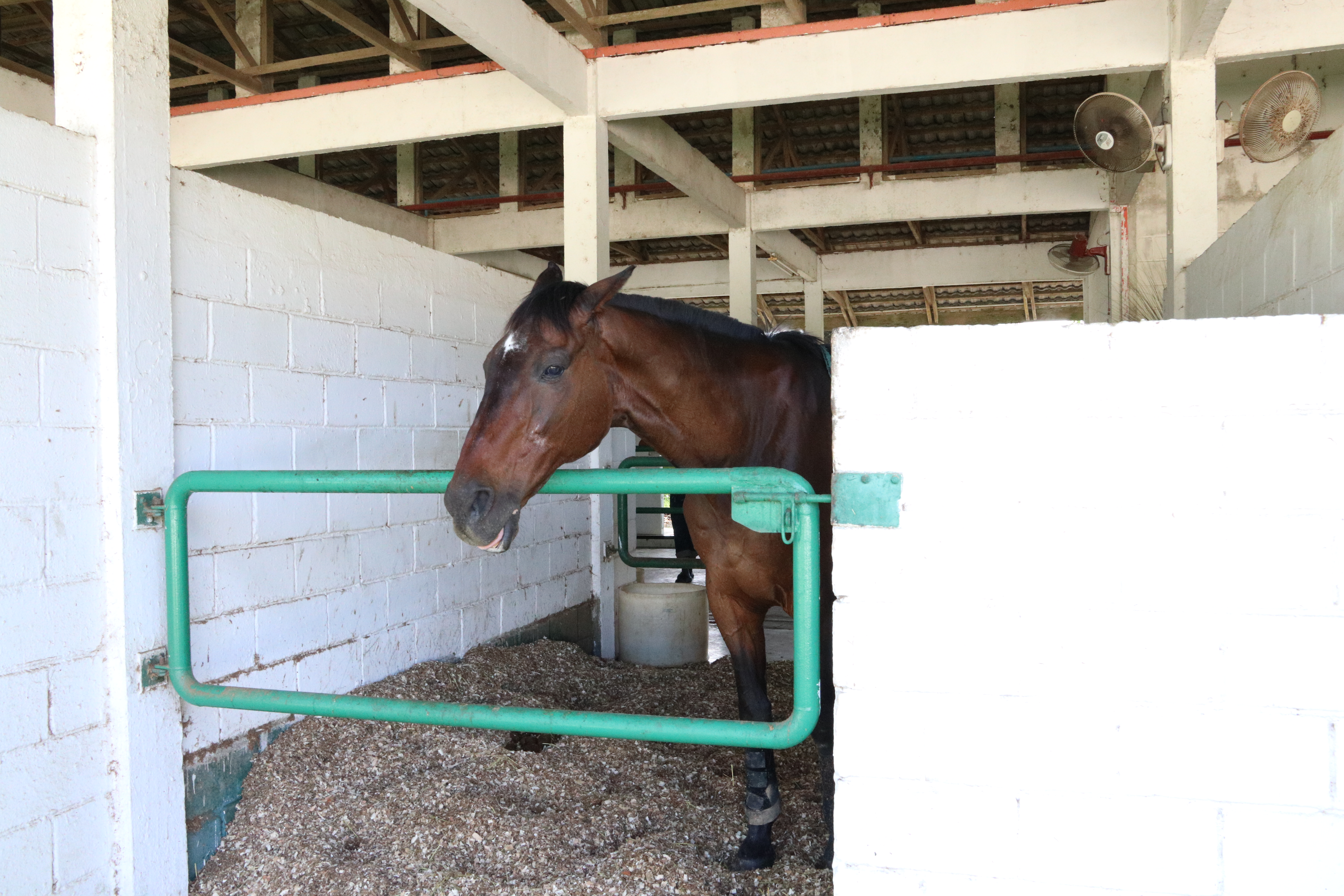 Unilink Group Company Trip 2018 April from Agensi Pekerjaan Unilink Prospects Sdn Bhd Horse Riding at Johor Bahru 52