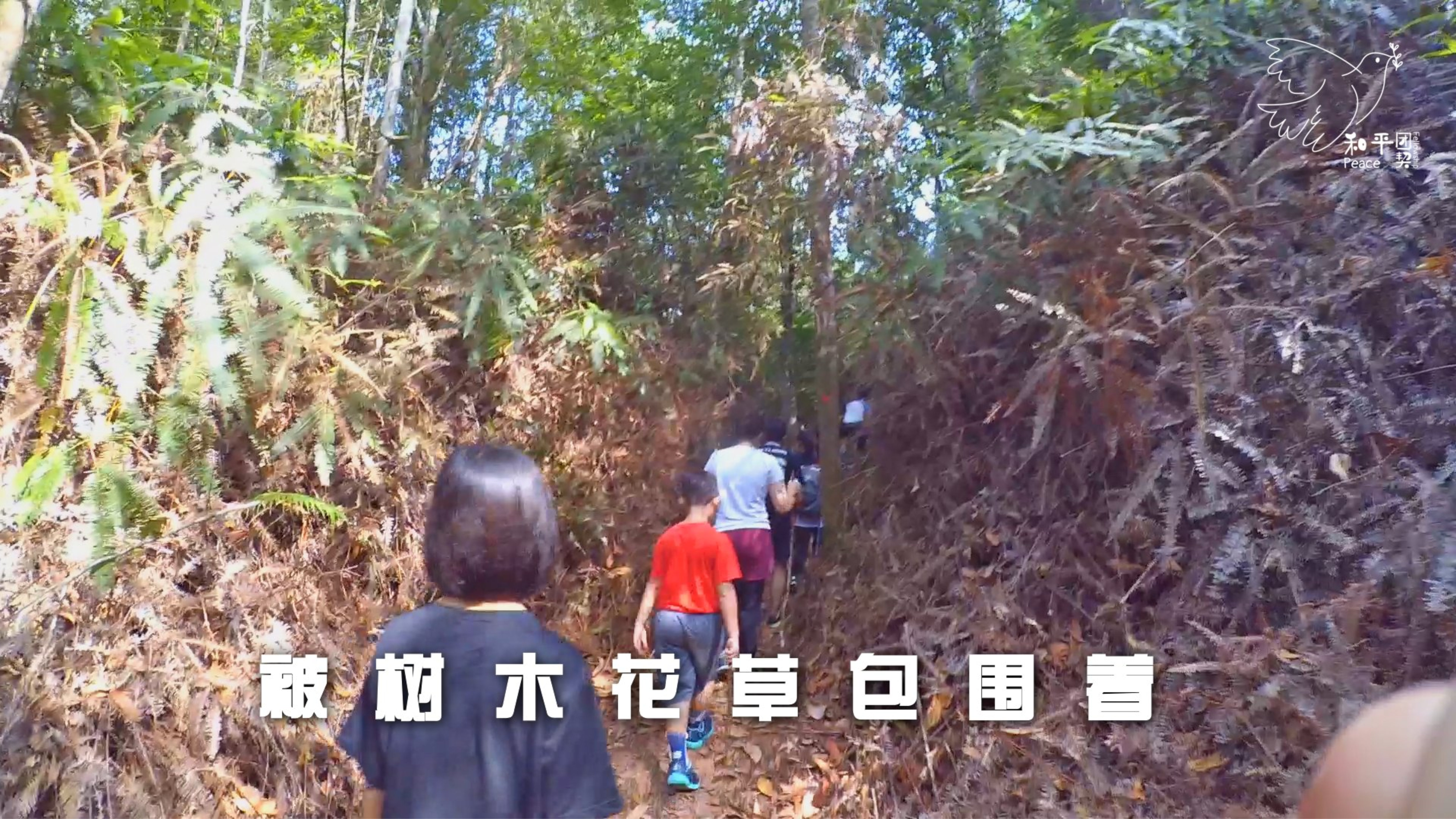 Peace Fellowship 和平团契 少年人爬山日 放下手提电话 Batu Pahat 龙华山 华山论剑 Batu Pahat Johor Malaysia A22