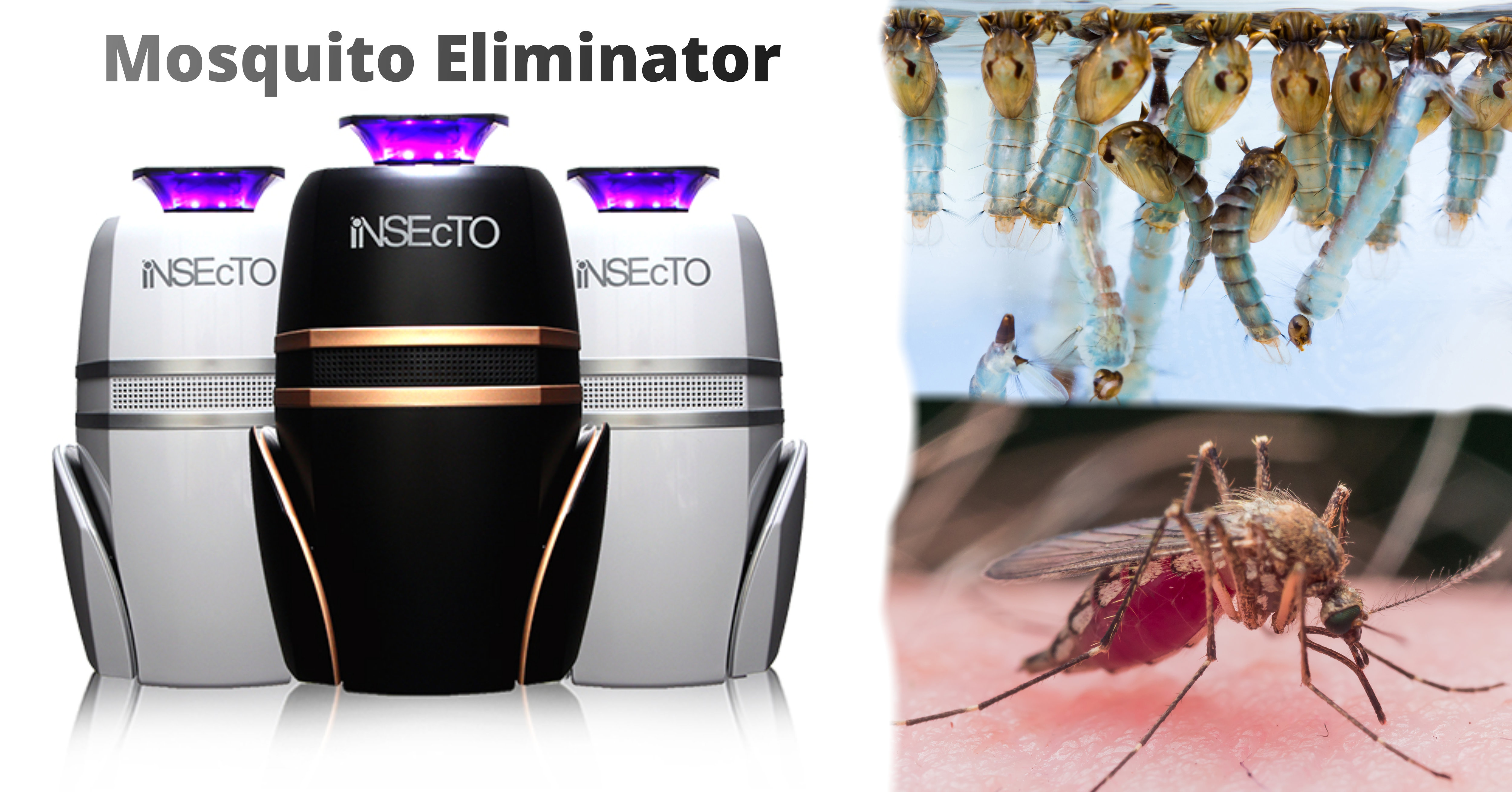 INSECTO Mosquito Eliminator Malaysia – Protect Your Family and Your Loves One from Dengue