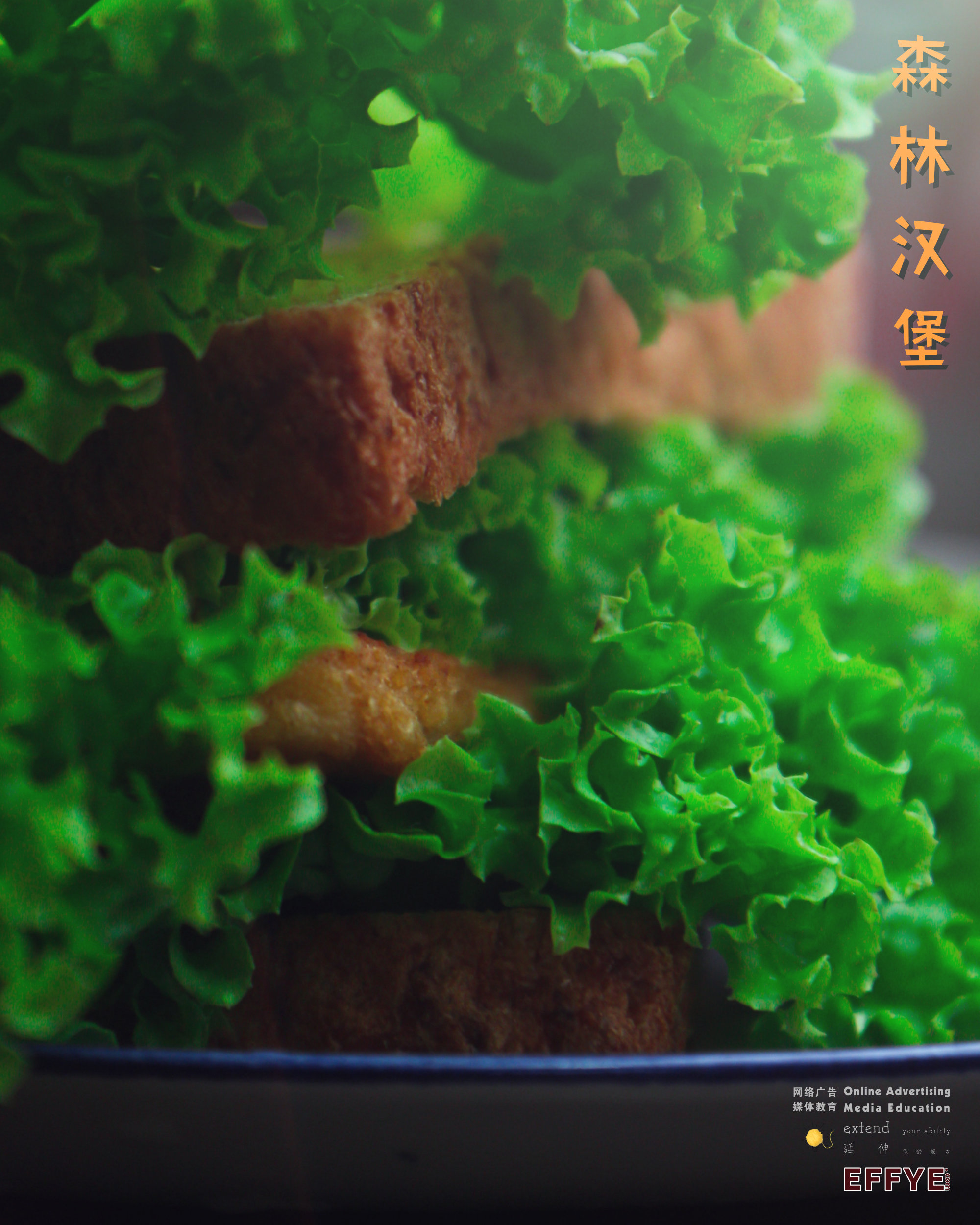 我的隔离餐 你煮了什么菜肴呢 你也煮了许多道你没有预想到的菜肴吧 武汉肺炎隔离餐 新冠肺炎隔离餐 Effye Media 隔离餐 马来西亚网站制作公司 A28