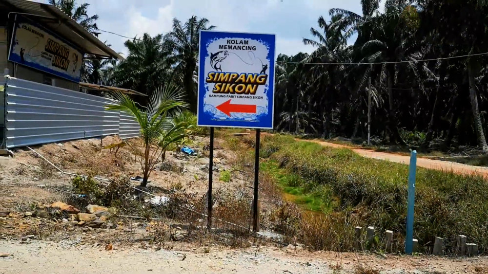 Kolam Memancing Simpang Sikon - Kolam Memancing Ikan Parit Raja Batu Pahat Johor Malaysia B03