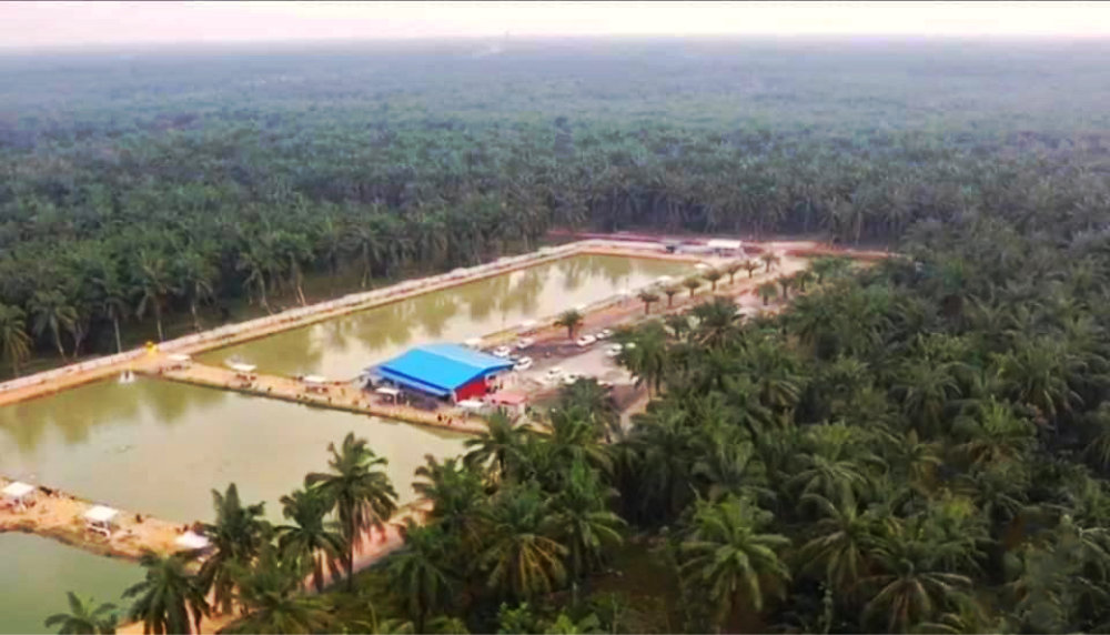 Kolam Memancing Simpang Sikon - Kolam Memancing Ikan Parit Raja Batu Pahat Johor Malaysia B06