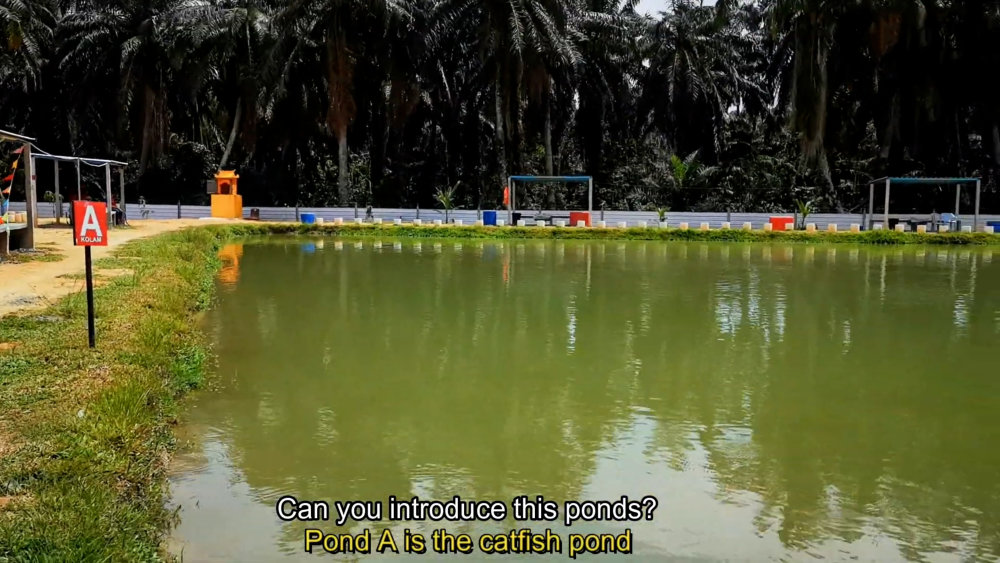 Kolam Memancing Simpang Sikon - Kolam Memancing Ikan Parit Raja Batu Pahat Johor Malaysia B07