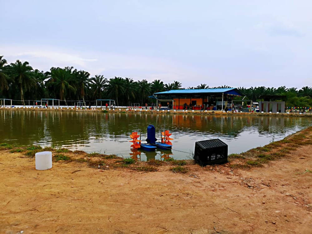 Kolam Memancing Simpang Sikon - Kolam Memancing Ikan Parit Raja Batu Pahat Johor Malaysia B08