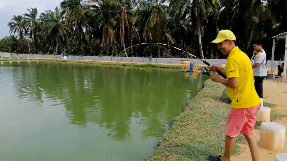 Kolam Memancing Simpang Sikon - Kolam Memancing Ikan Parit Raja Batu Pahat Johor Malaysia B10