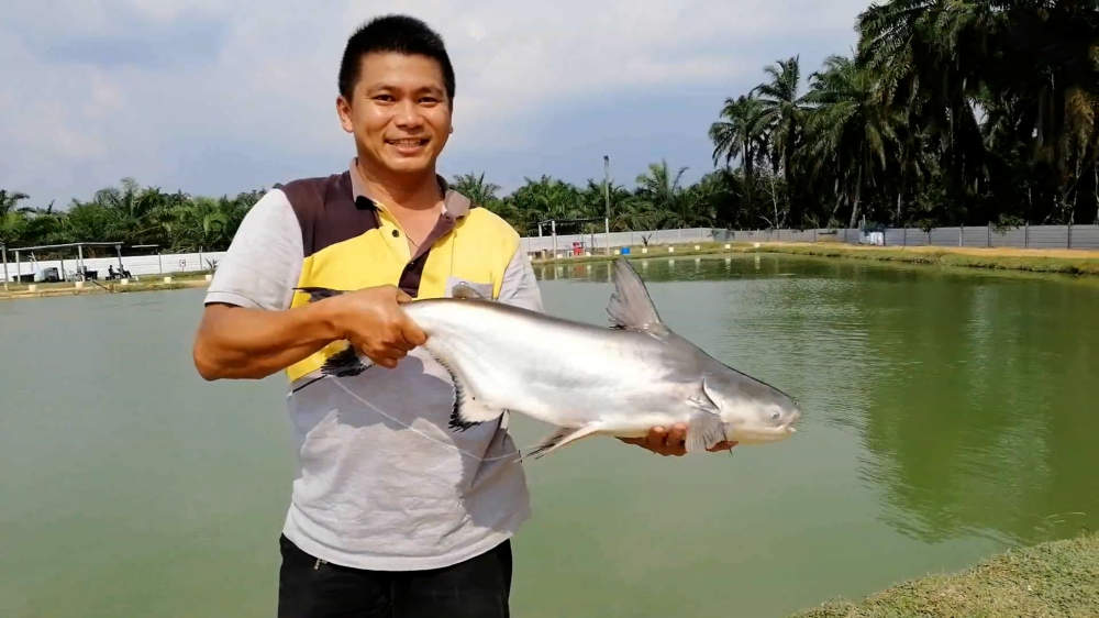 Kolam Memancing Simpang Sikon - Kolam Memancing Ikan Parit Raja Batu Pahat Johor Malaysia B12