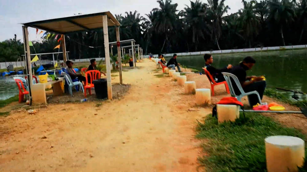 Kolam Memancing Simpang Sikon - Kolam Memancing Ikan Parit Raja Batu Pahat Johor Malaysia B18