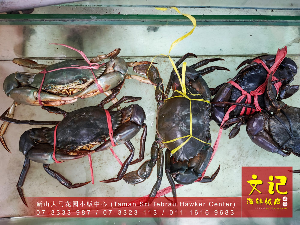 新山螃蟹大优惠 RM88 两只螃蟹 十种口味任你挑 新山美食 螃蟹海鲜大餐给新加坡食客 和 新山食客 文记海鲜饭店 Restoran Boon Kee B12